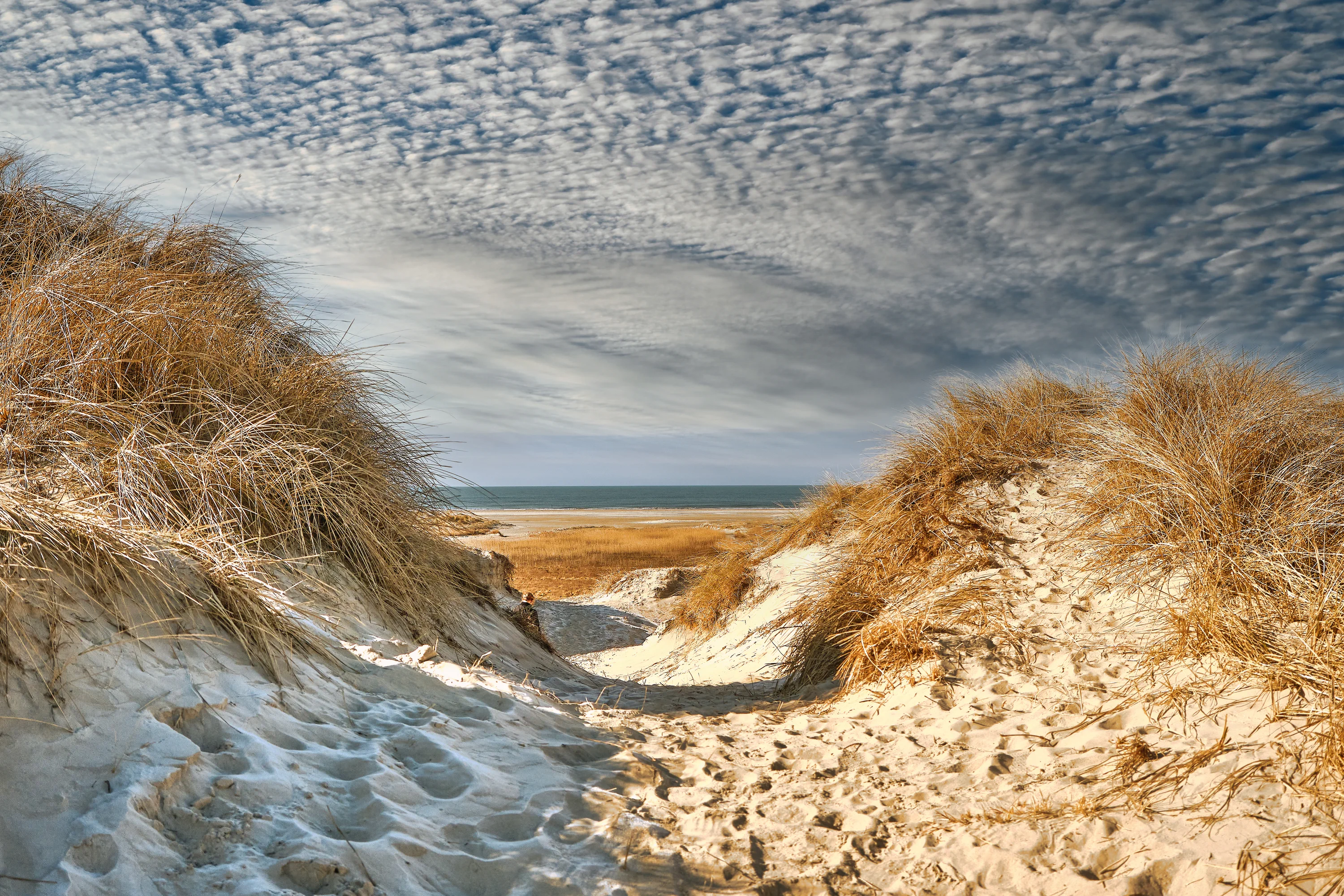 De duinen bij Rindby