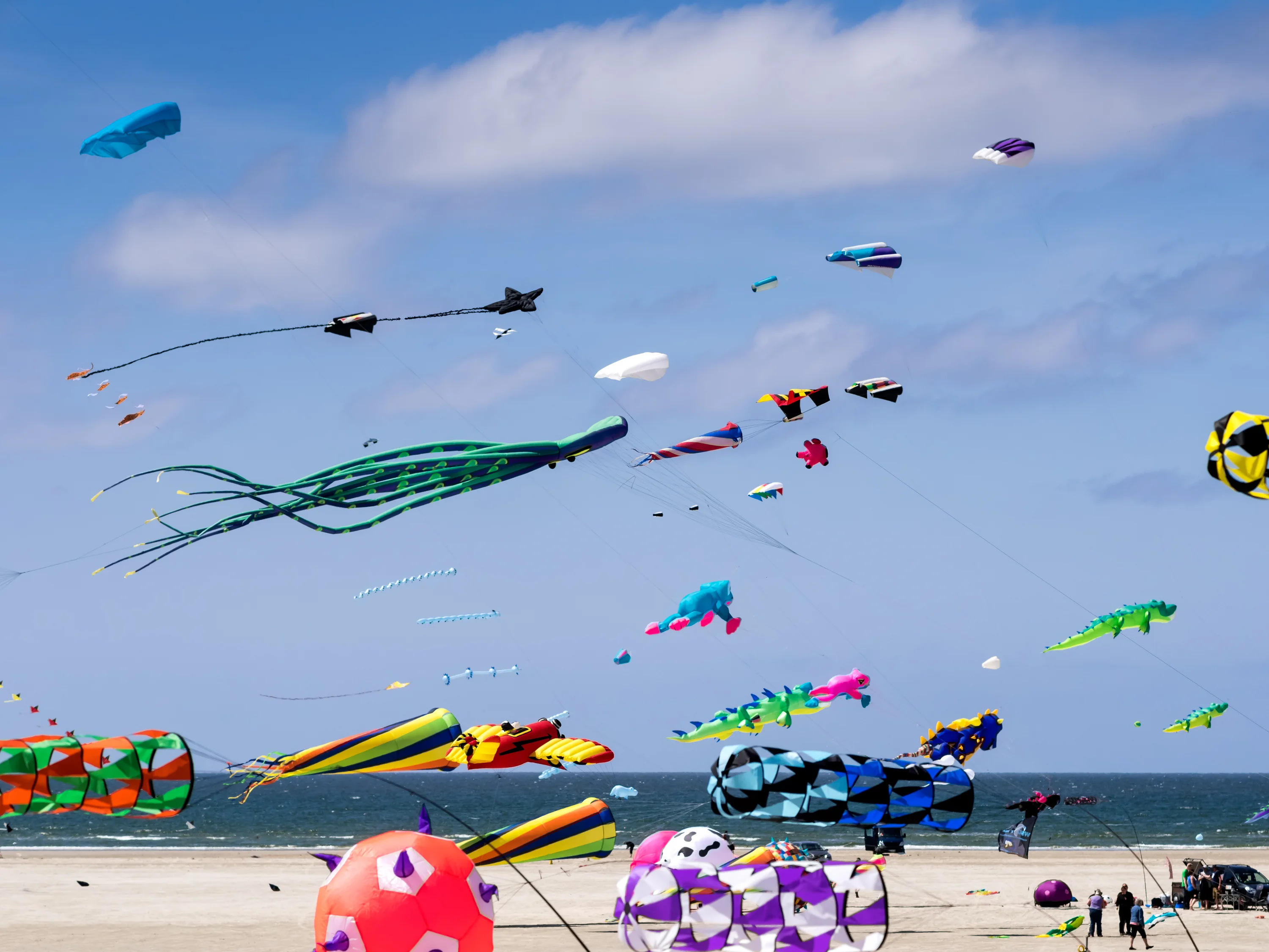 Vliegers op het strand van Rindby