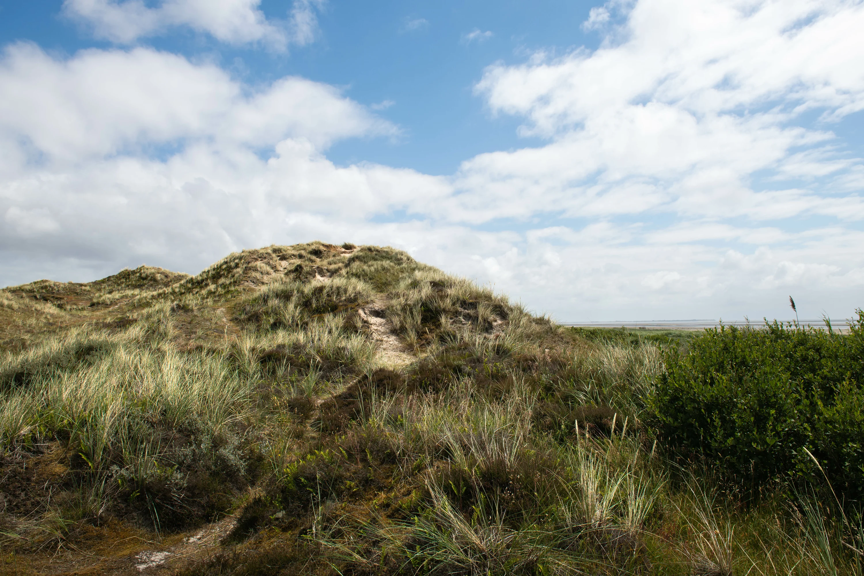 De duinen bij Sønderho