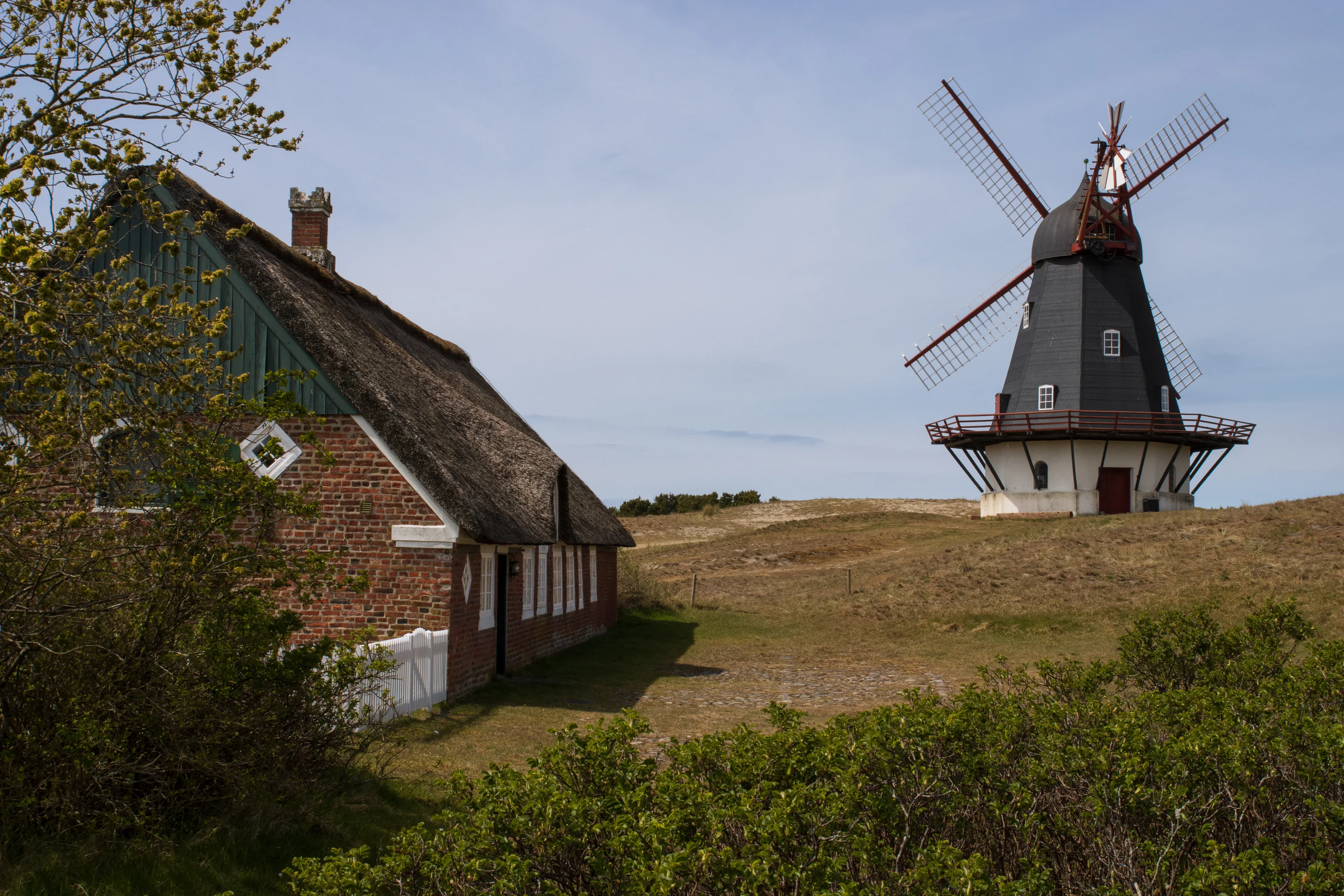 Windmolen in de Hollandse stijl bij Sønderho