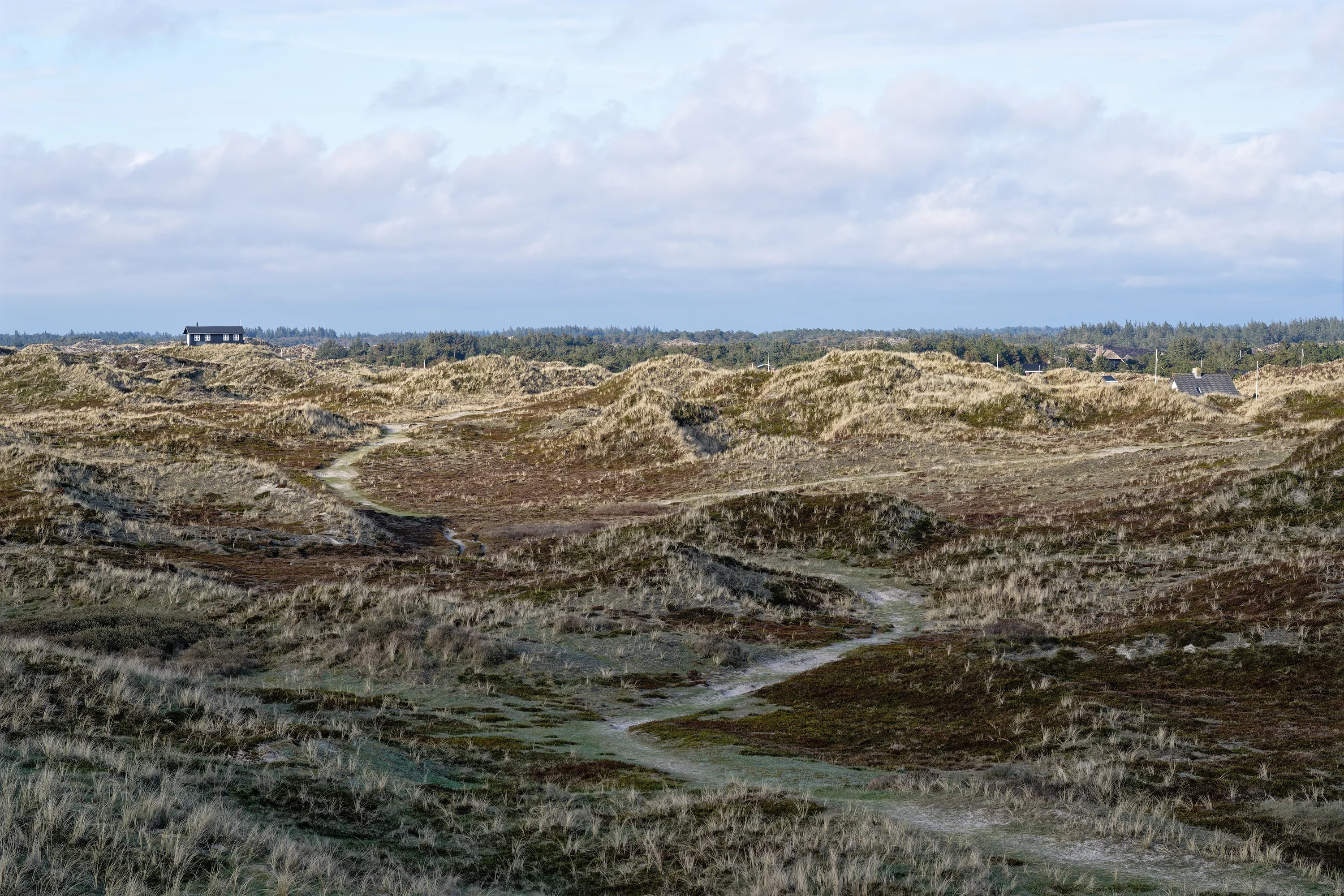 Zomerhuisjes en de duinen bij Grærup