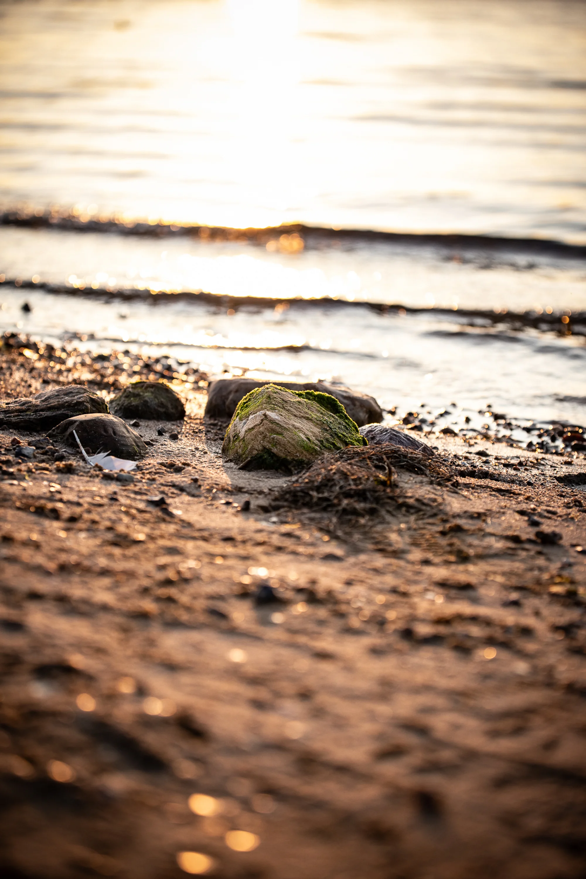 Vakantie in Hemmet Strand, Denemarken – Ontdek de Deense Noordzeekust