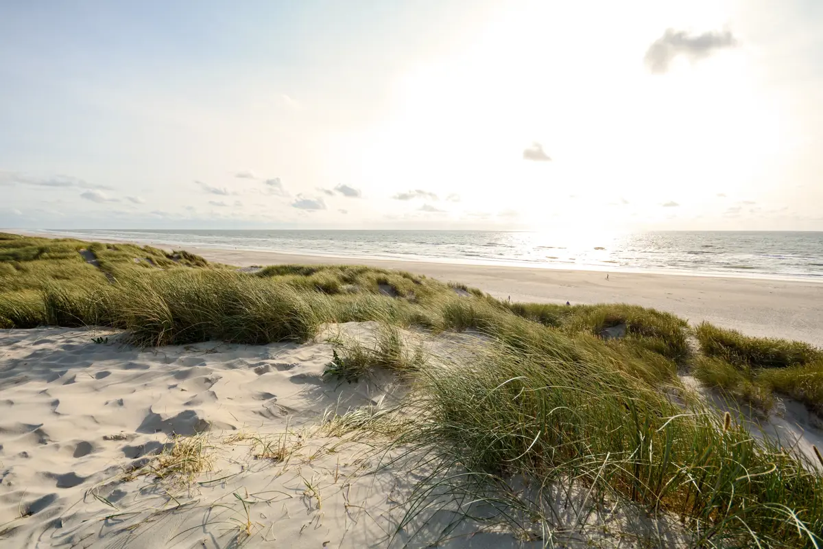 Strandhexan Bezienswaardigheden en highlights in Henne Strand