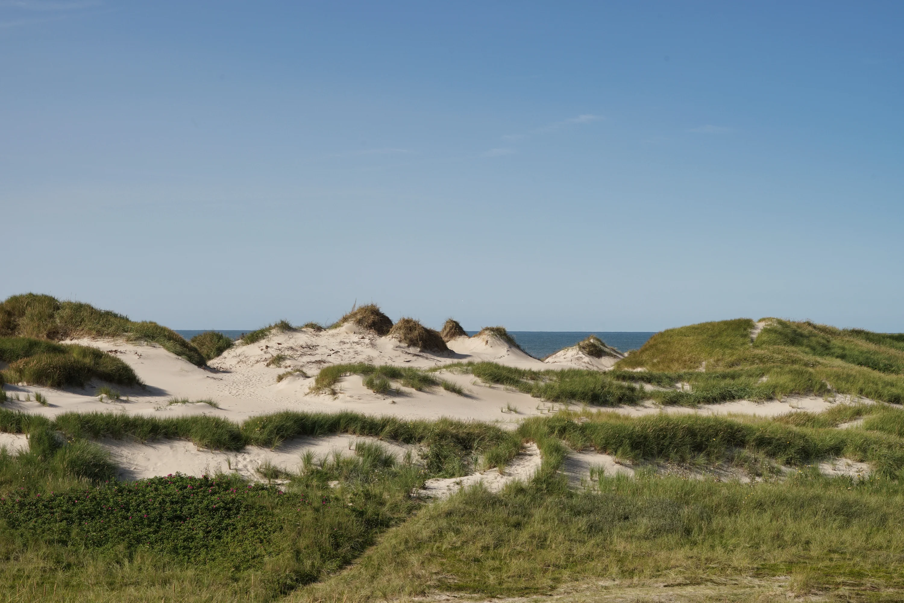 Vakantiehuisjes in de duinen van Houvig