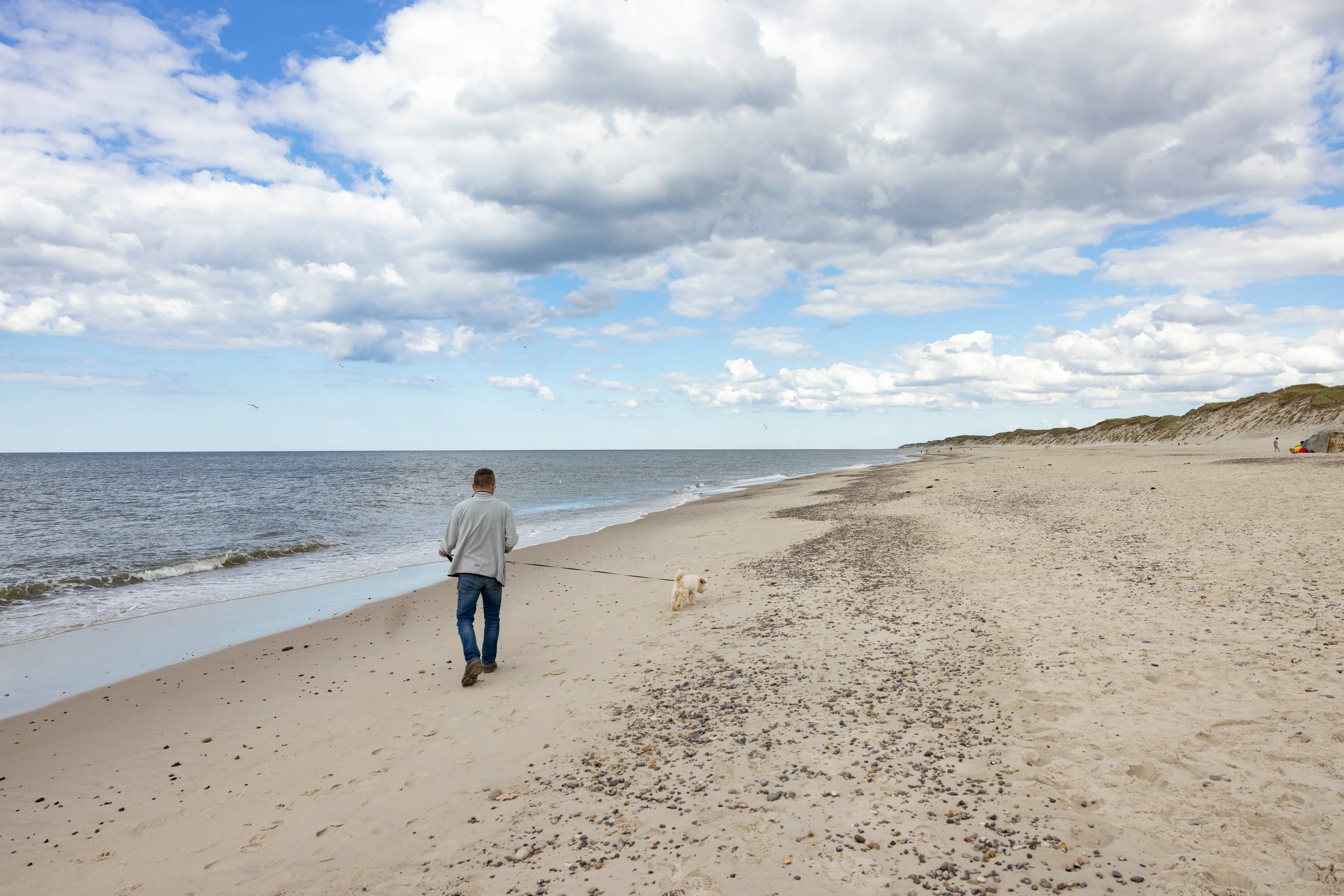 Heerlijk aan het strand met je hond in Vester Husby