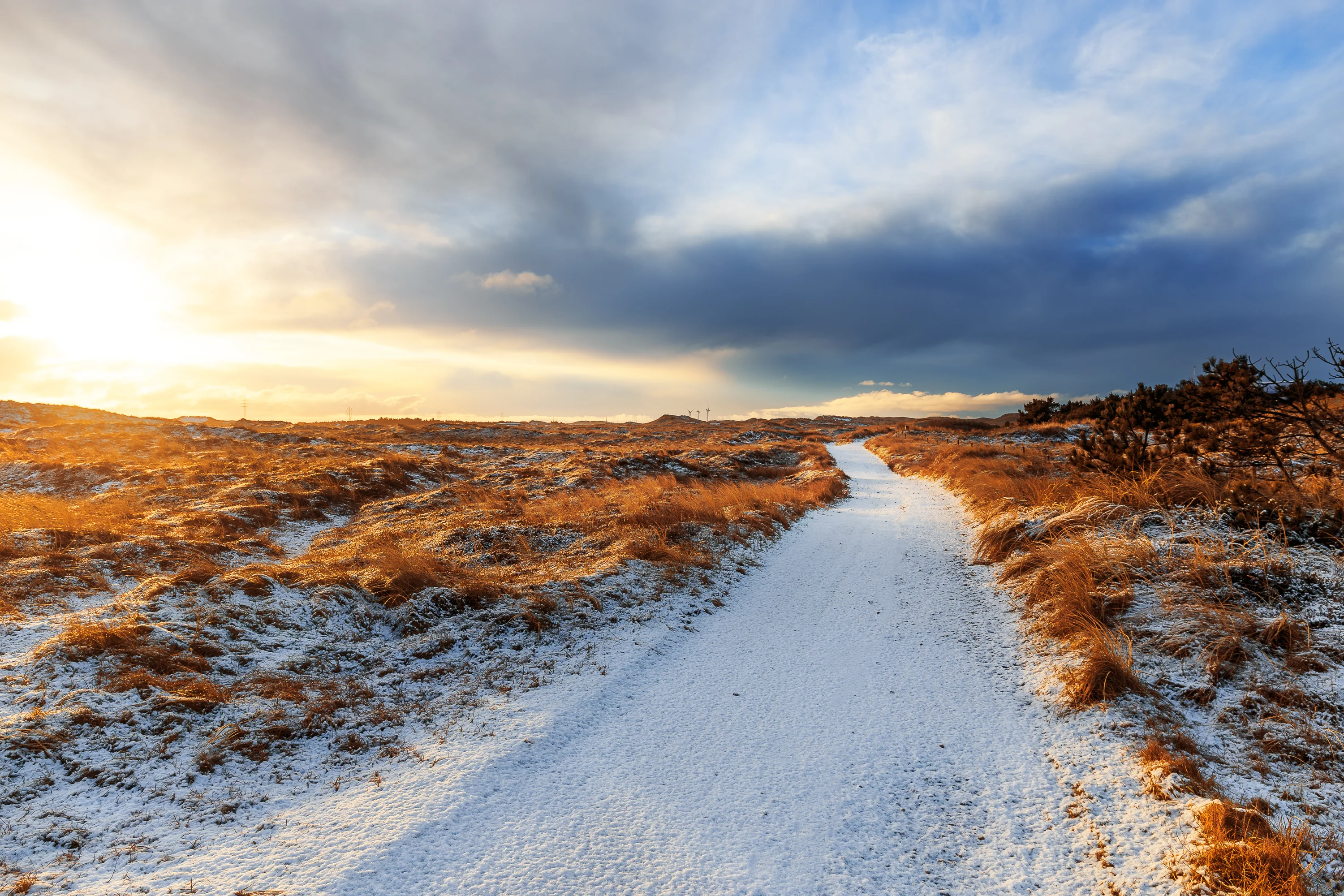 De duinen bij Hvide Sande