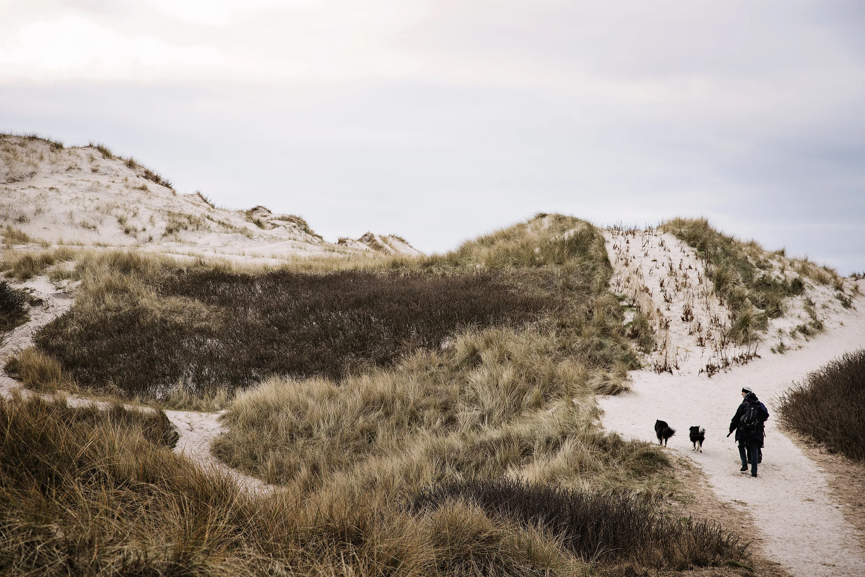 Het strand bij Hvide Sande