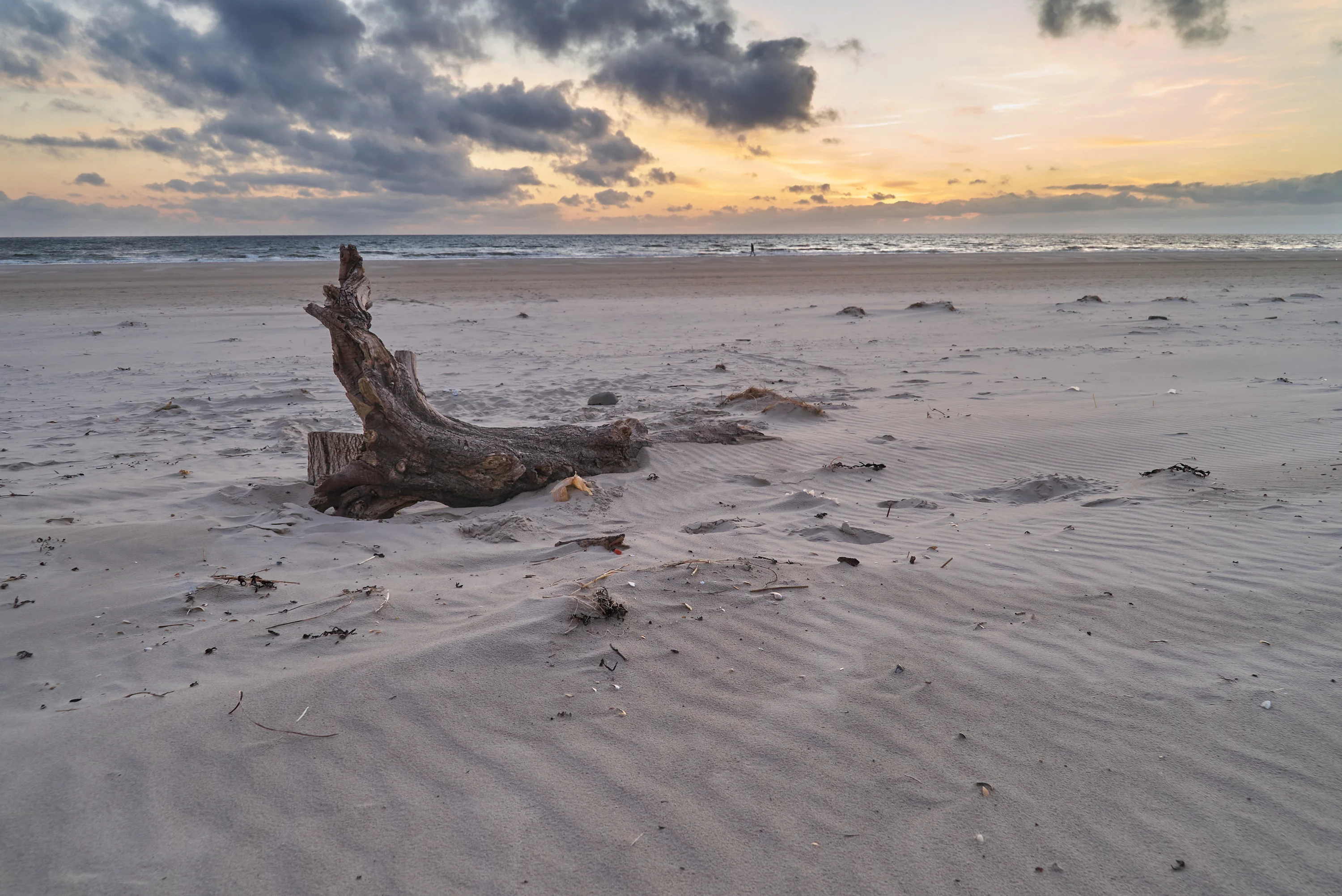 Jegum Ferieland in Denemarken – Natuur, ontspanning en vakantieplezier