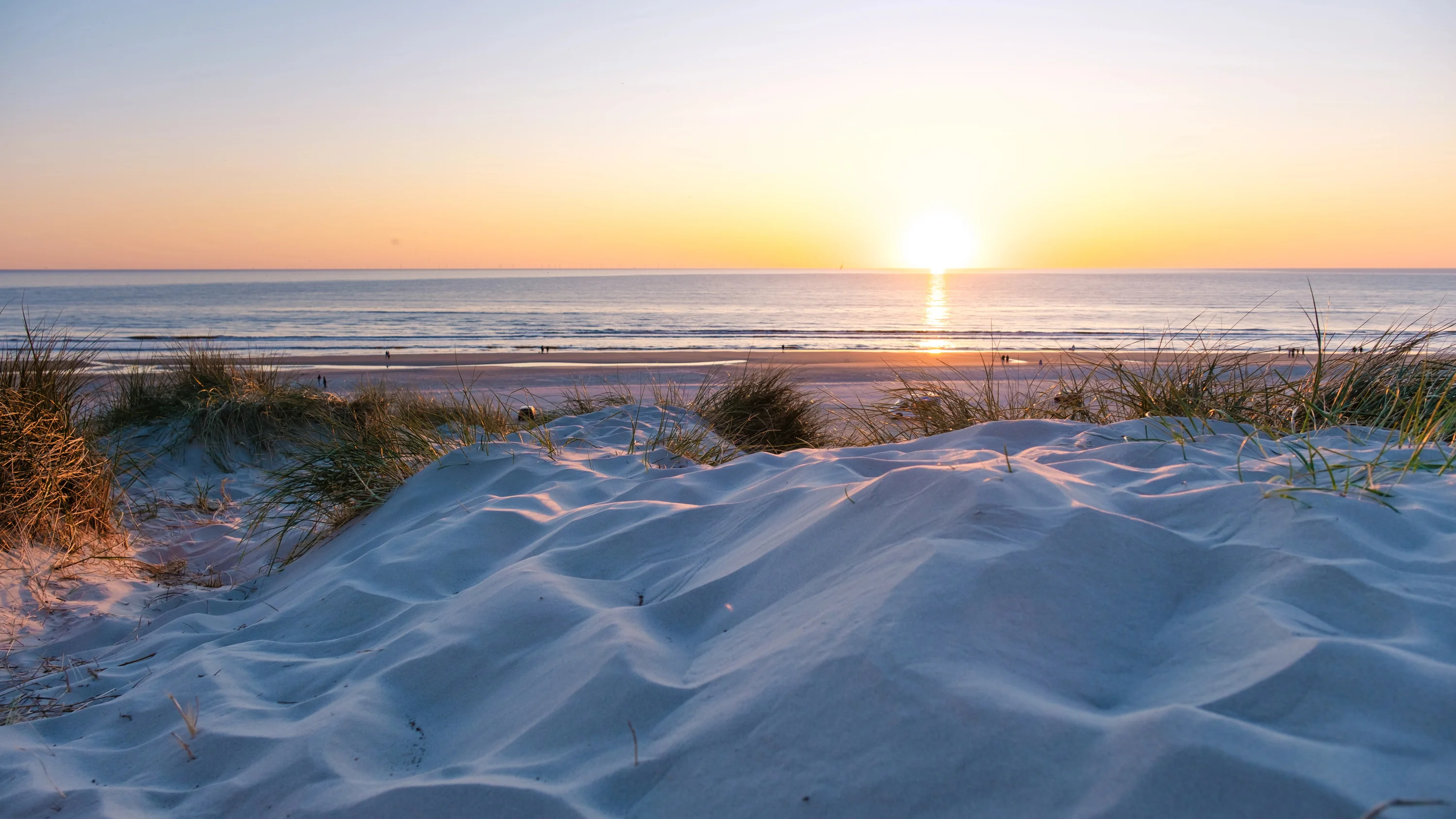Jegum in Denemarken – Natuur, ontspanning en vakantie aan de westkust
