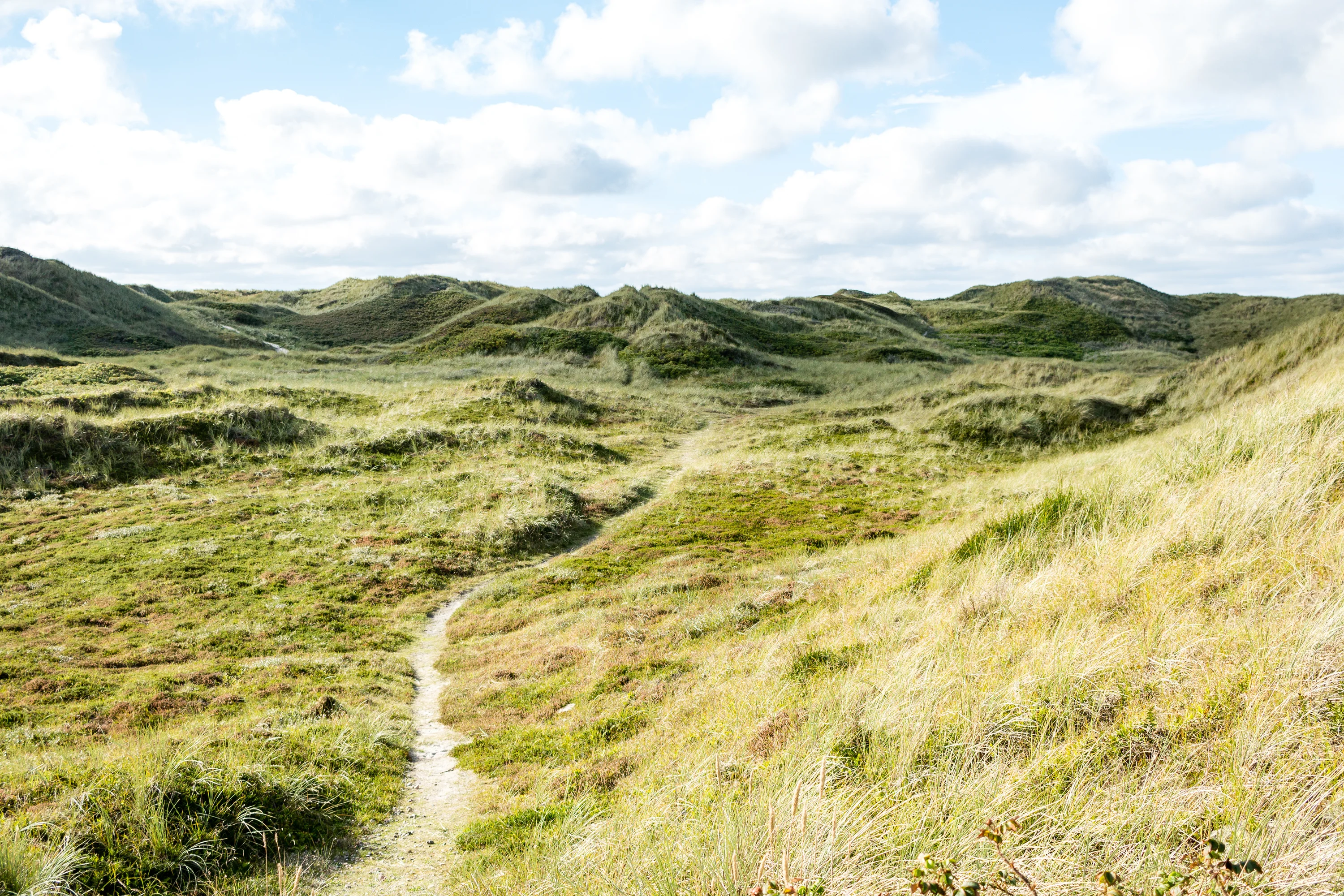 Lodbjerg Hede Put and Take – Beleef een populaire visvijver in West-Jutland