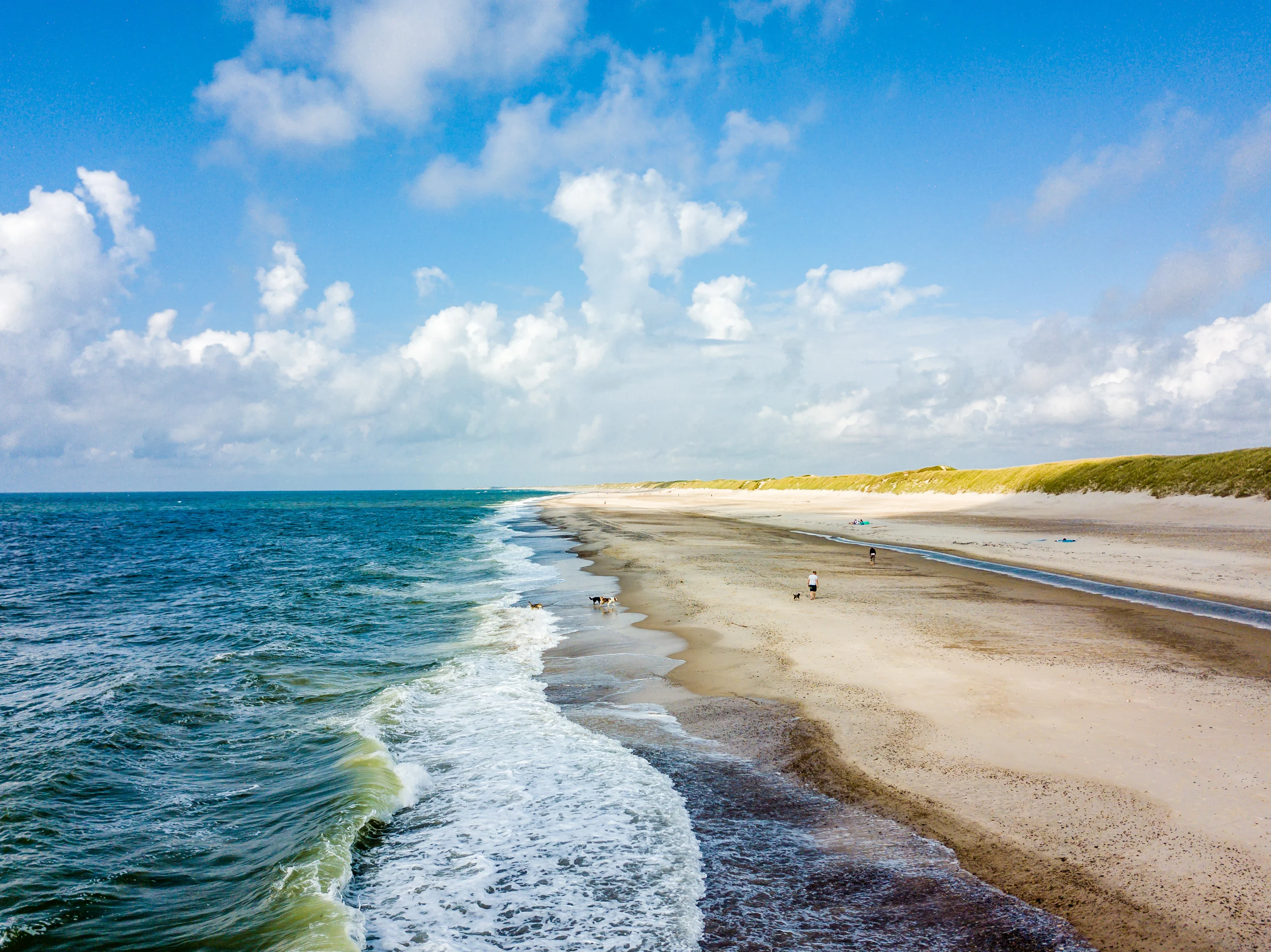 Lodbjerg Hede in Denemarken – Ontdek een natuurrijke vakantiebestemming aan de Westkust