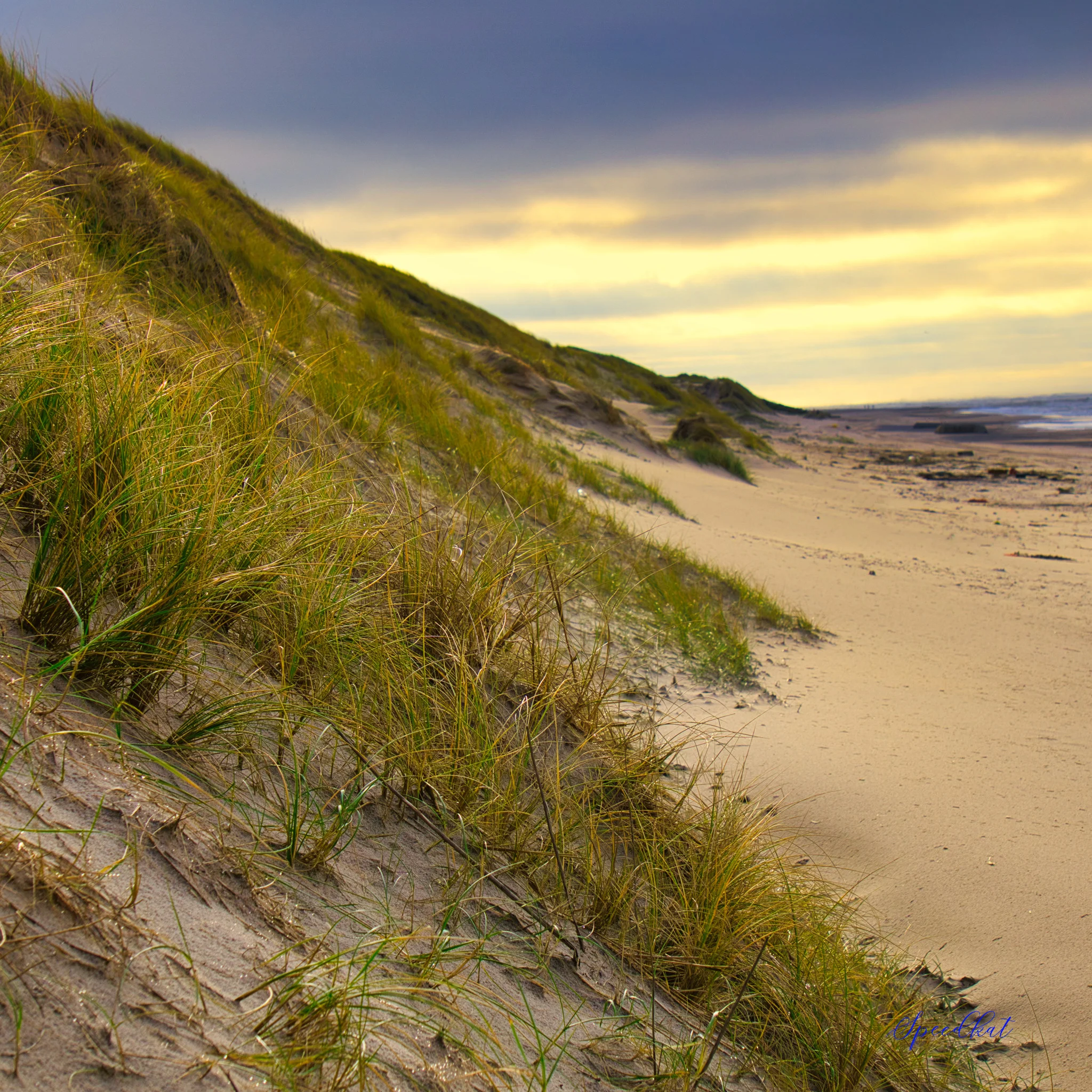 Vakantiehuis in Lodbjerg Hede – Vind de perfecte uitvalsbasis voor je vakantie