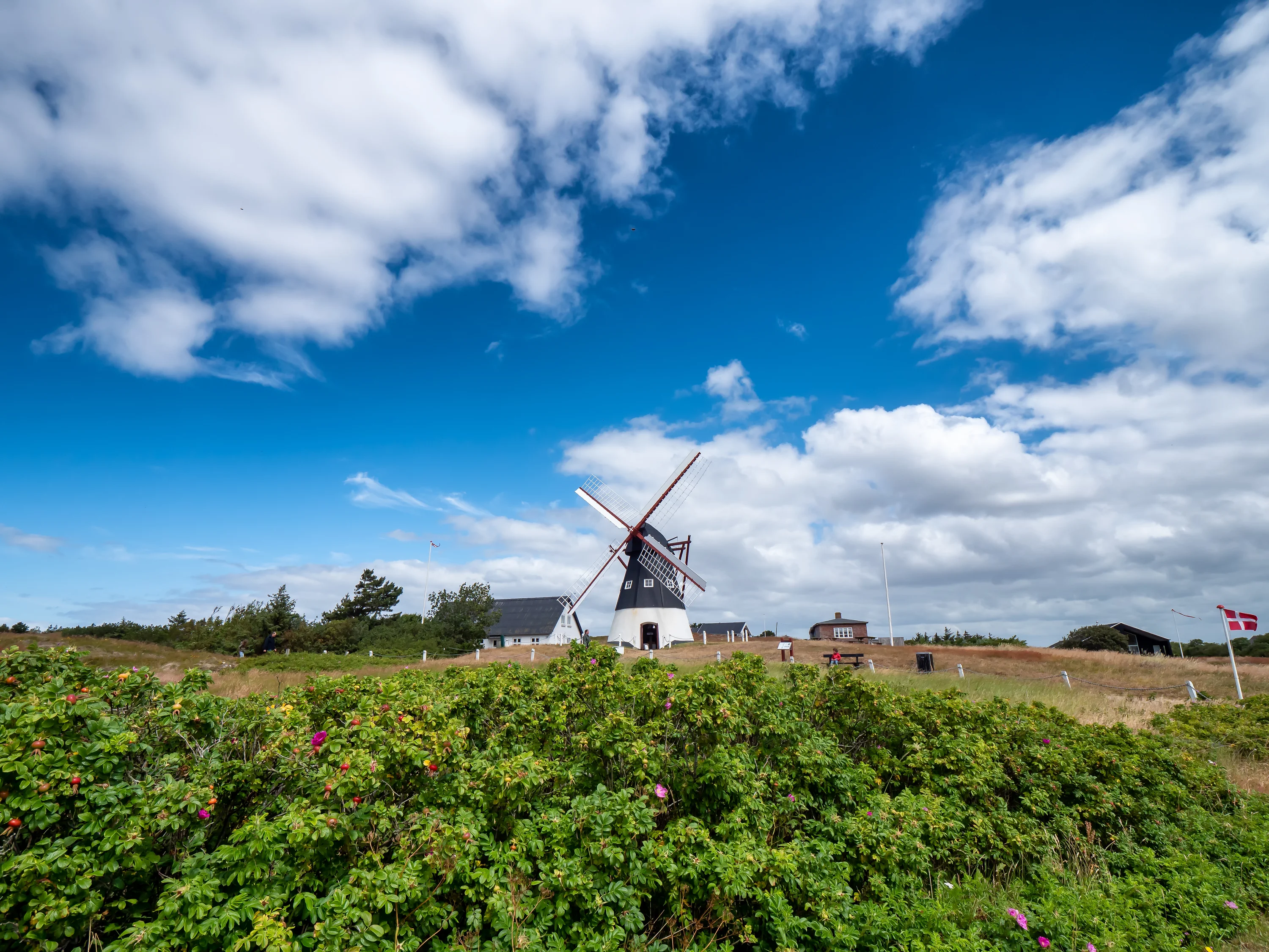 Oude Nederlandse molen op Mandø
