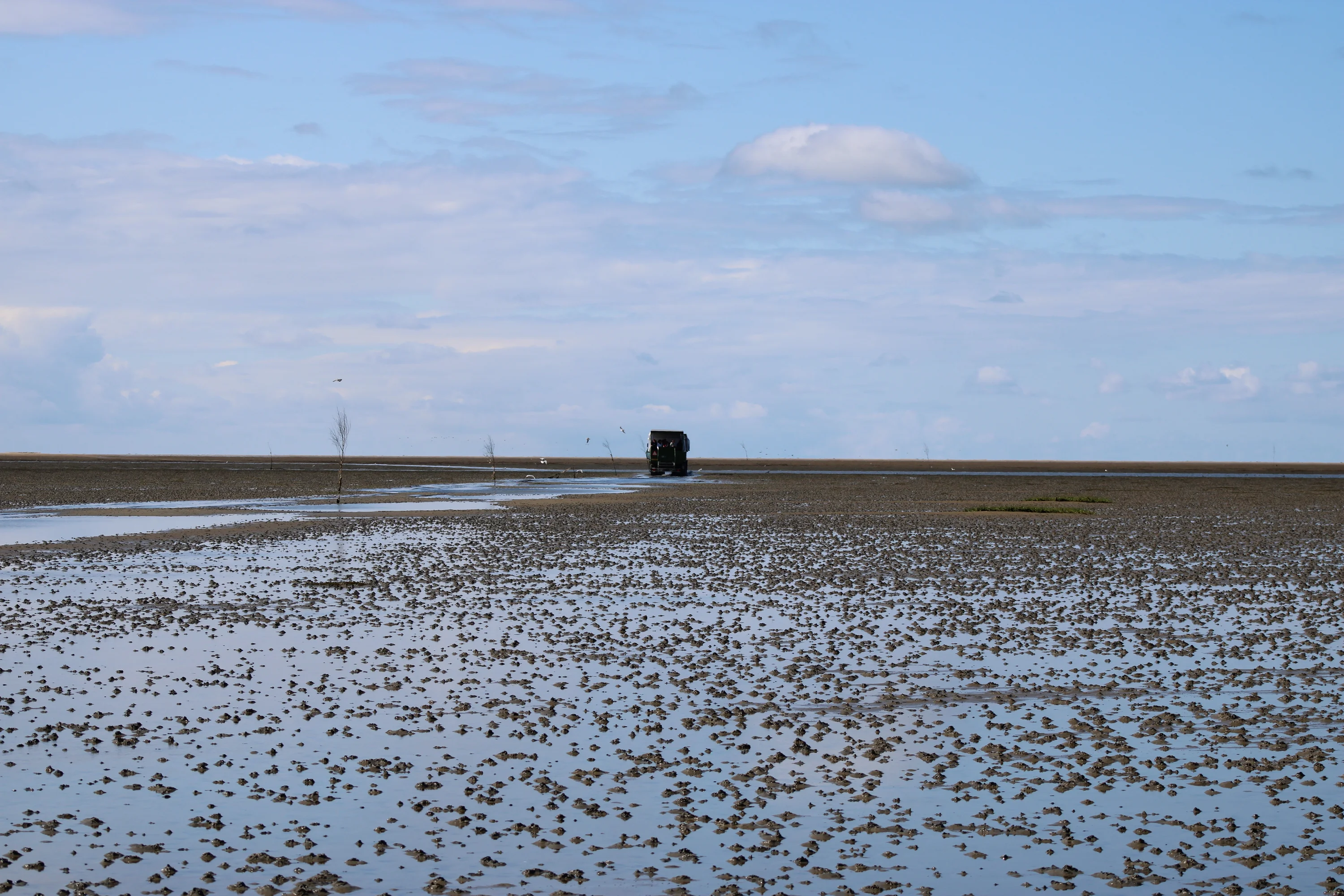Met de traktor op wad-safari