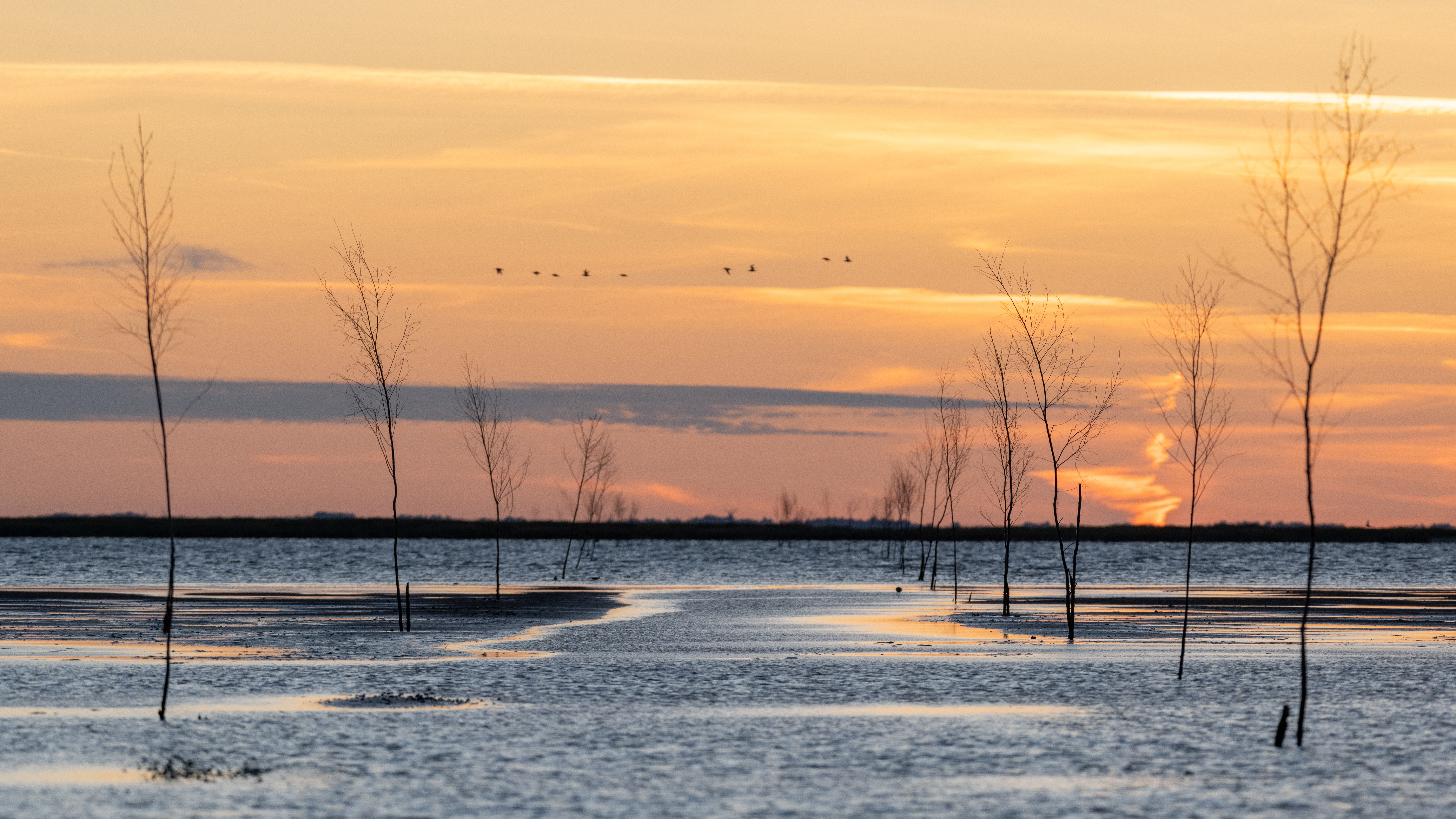 Voetpad naar het eiland Mandø