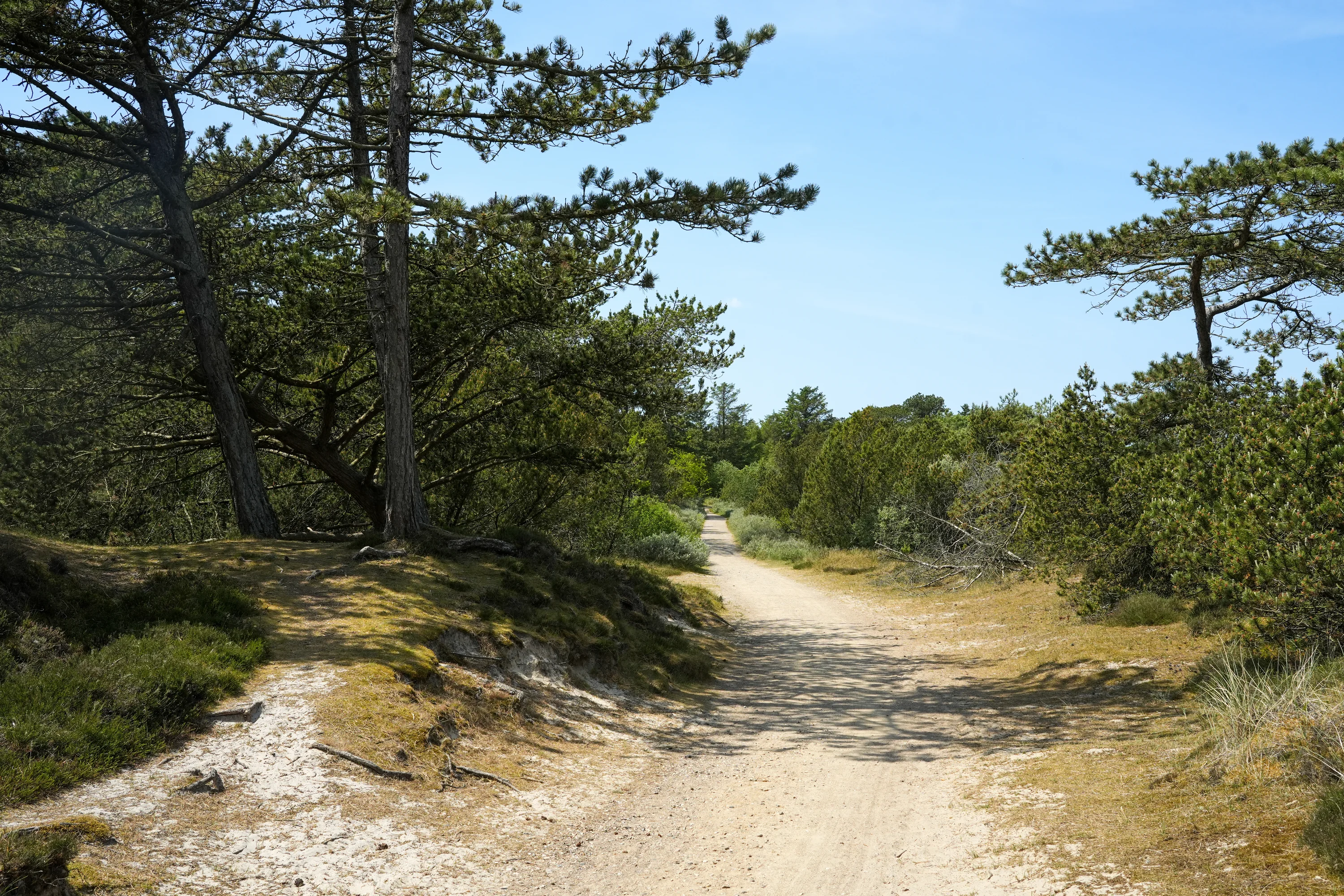 De omgeving bij Mosevrå