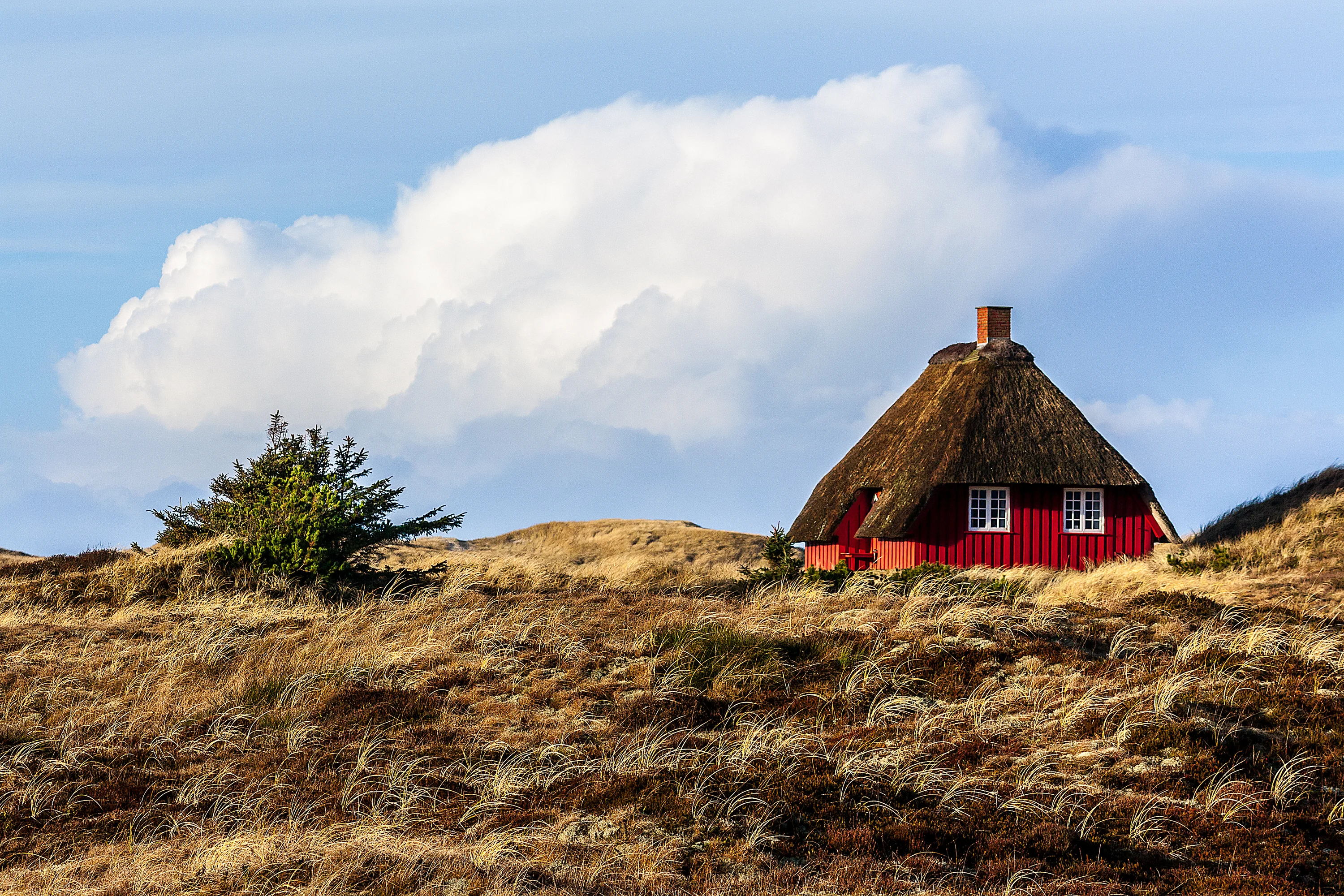 Nørre Nebel – Jouw gids voor vakantie, natuur en belevenissen in West-Jutland