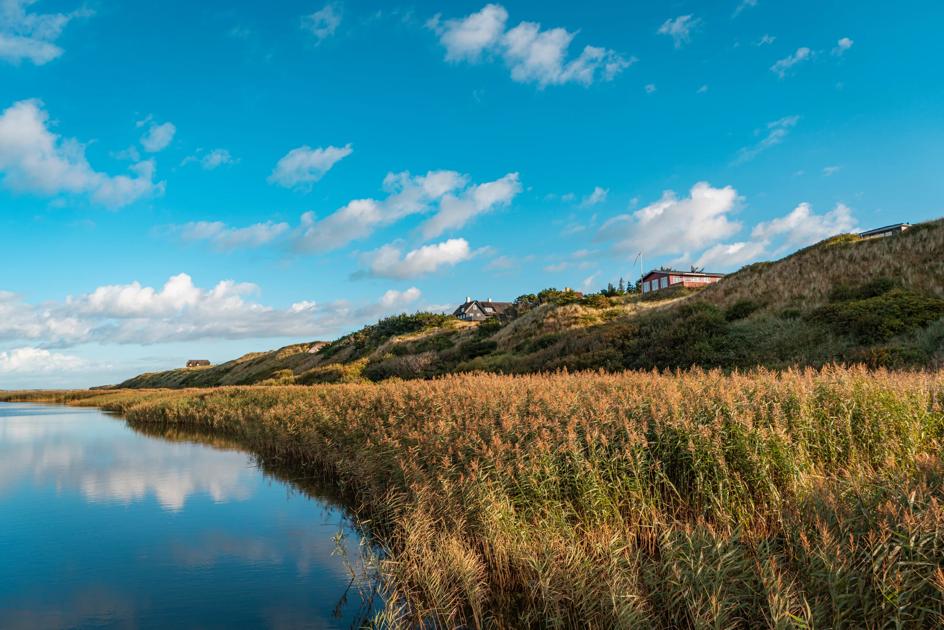 Vakantiehuizen bij Nymindegab