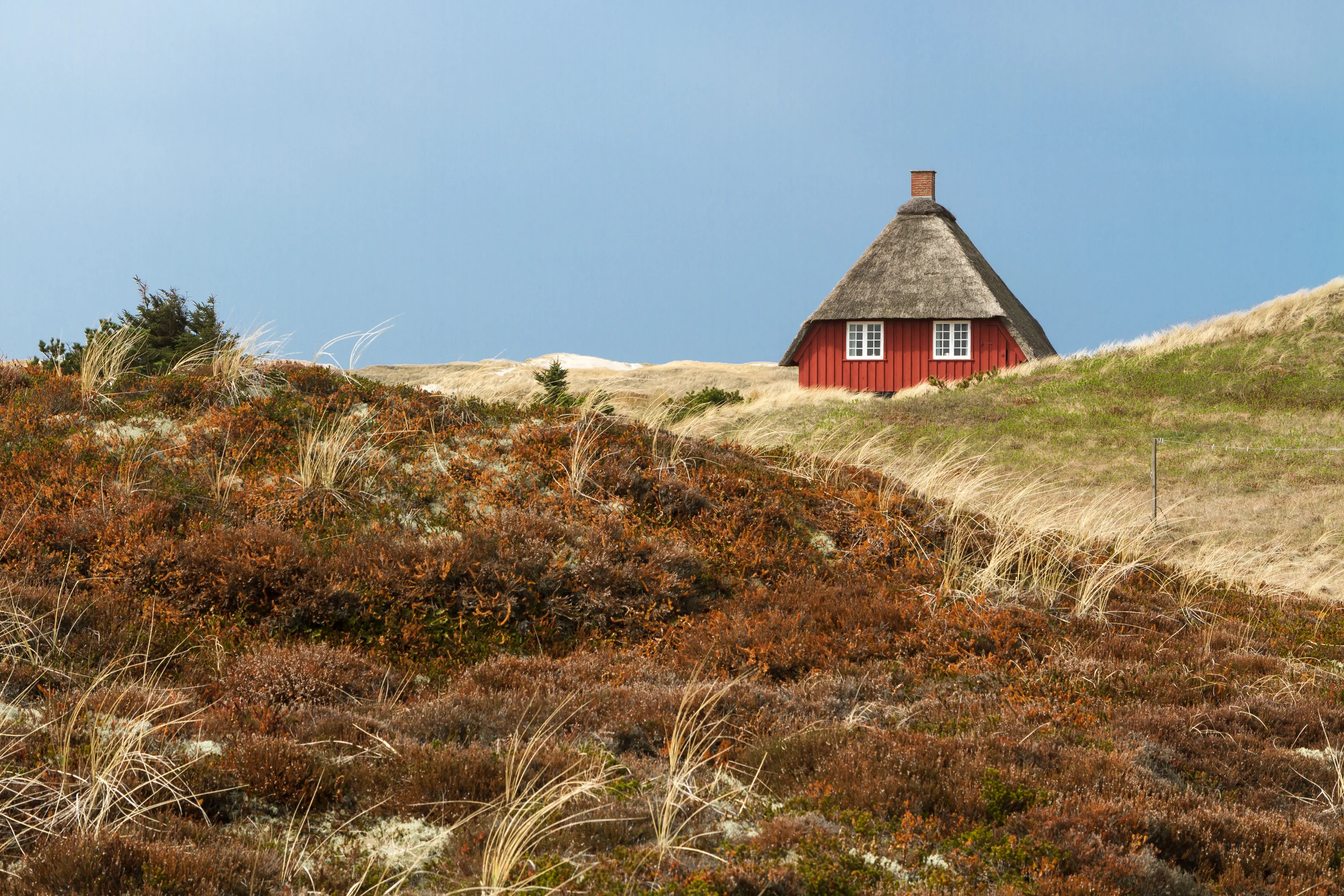 Paardrijden in Nymindegab – Beleef de Noordzee vanaf de rug van een paard