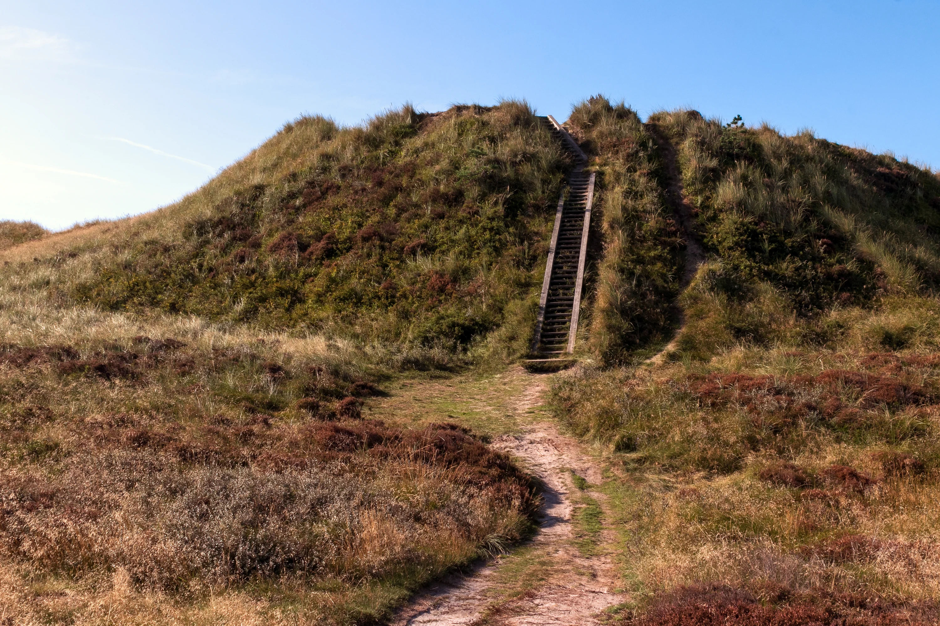 De duinen op Rømø