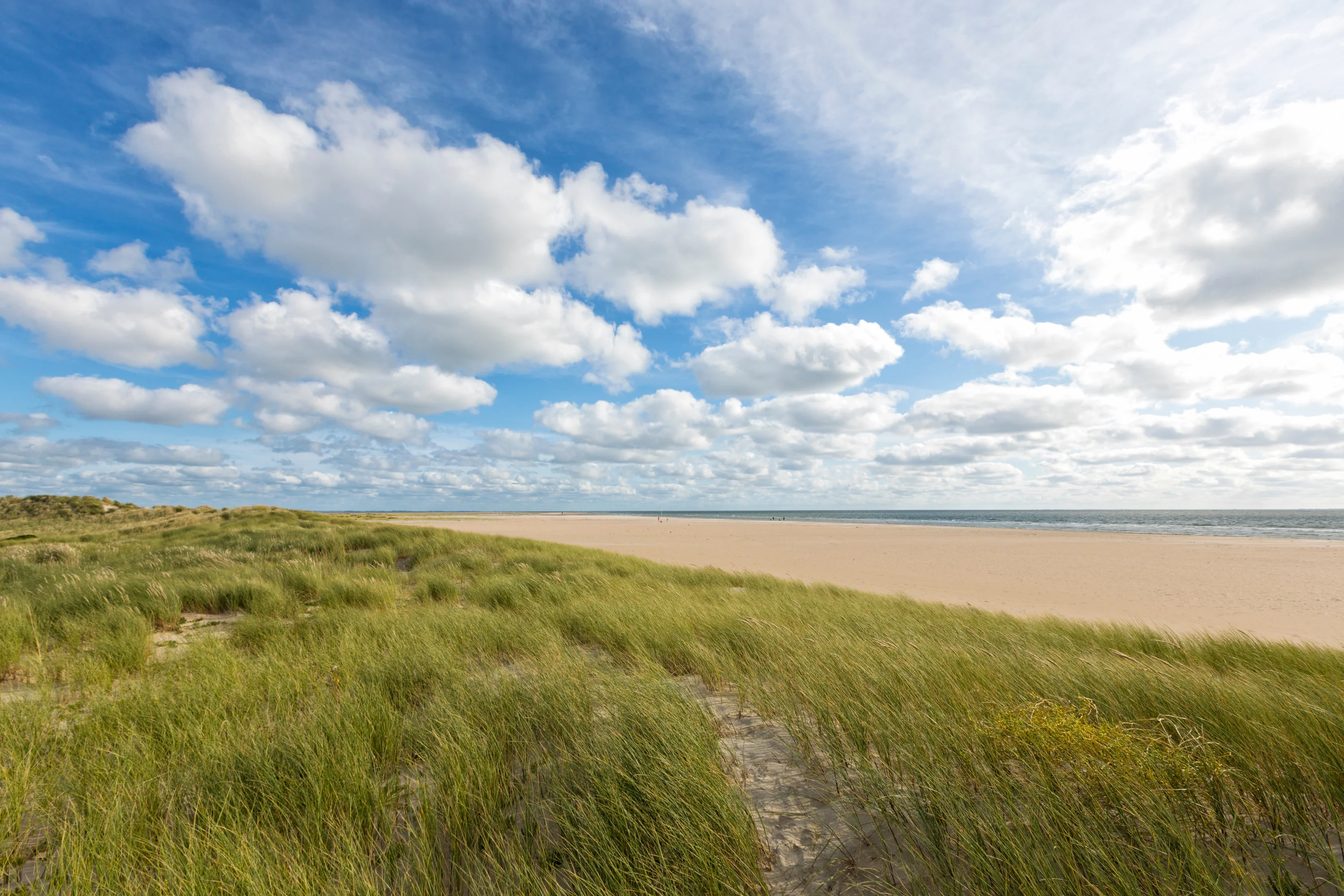 Het strand van Rømø
