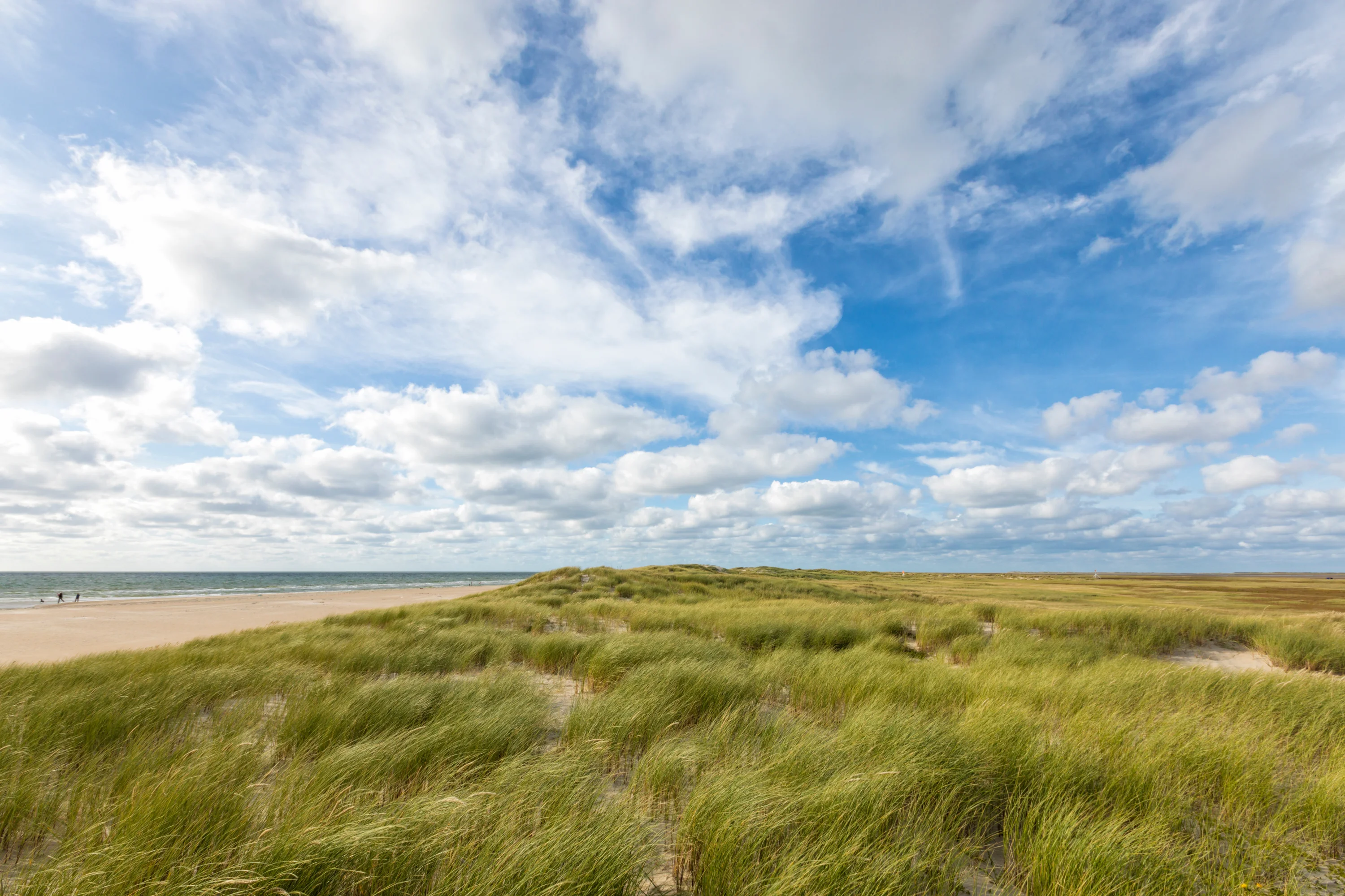 De duinen en het strand op Rømø