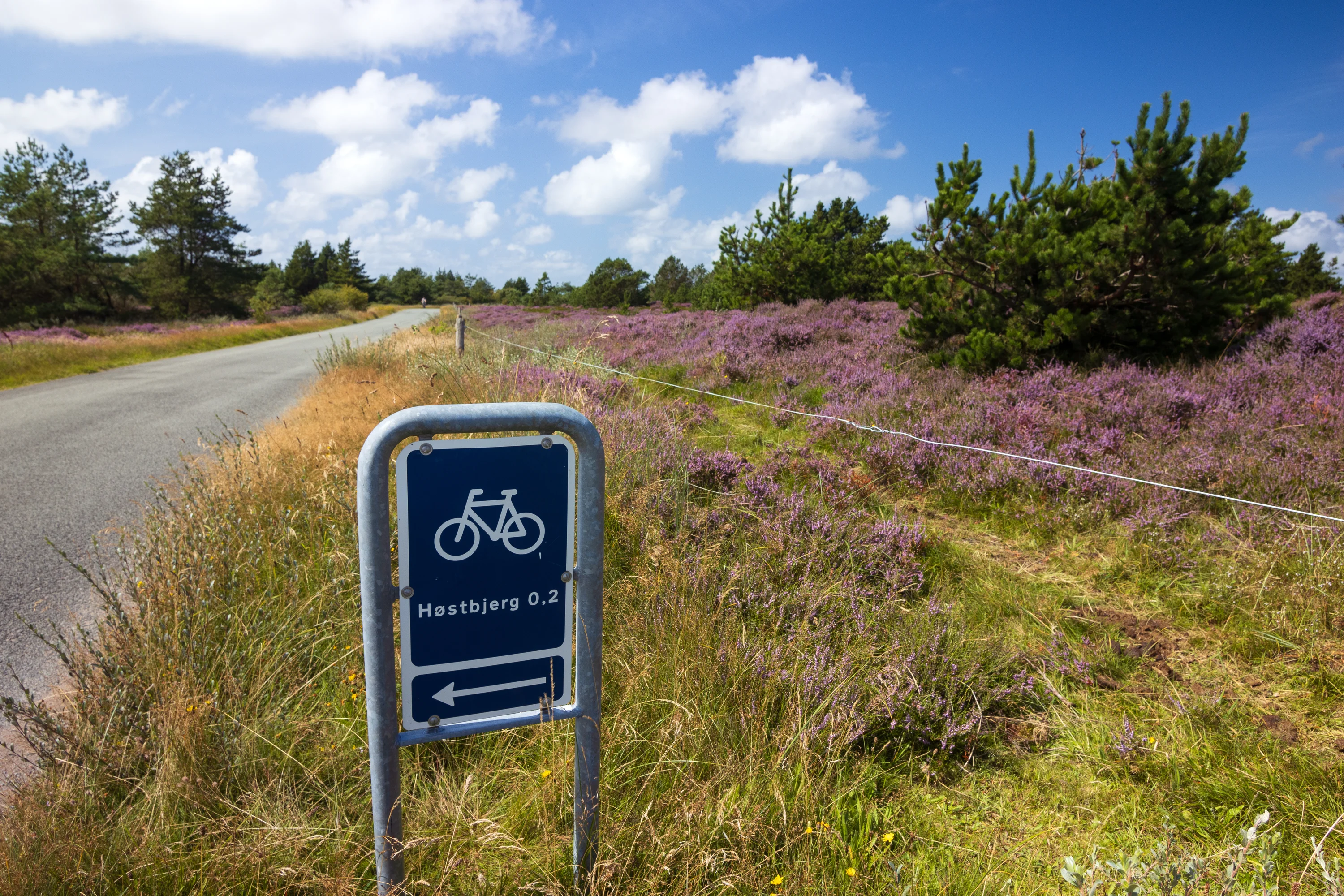 Fietsroute-bordje langs de straat op Rømø