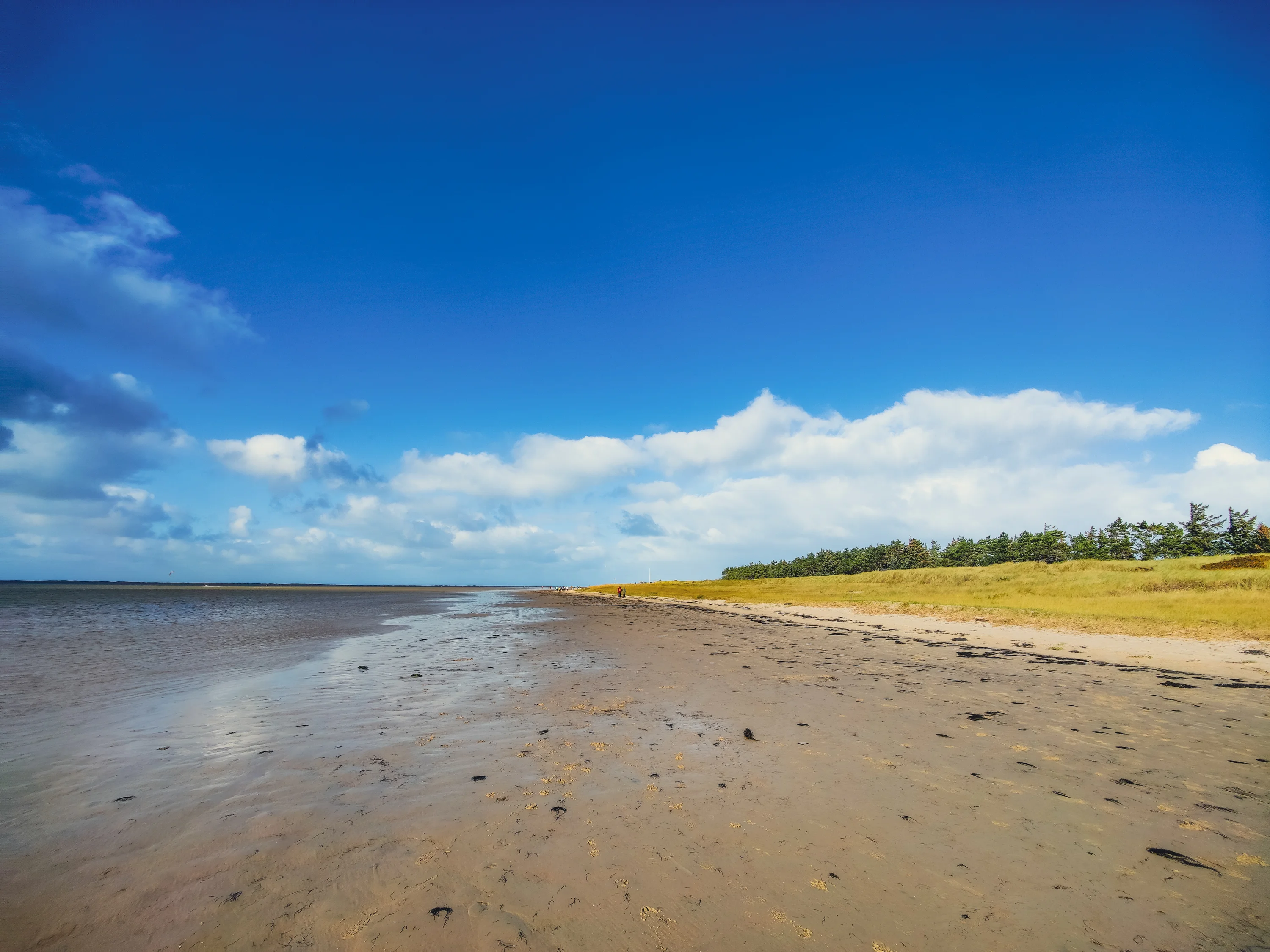 Het Sønderstrand op Rømø
