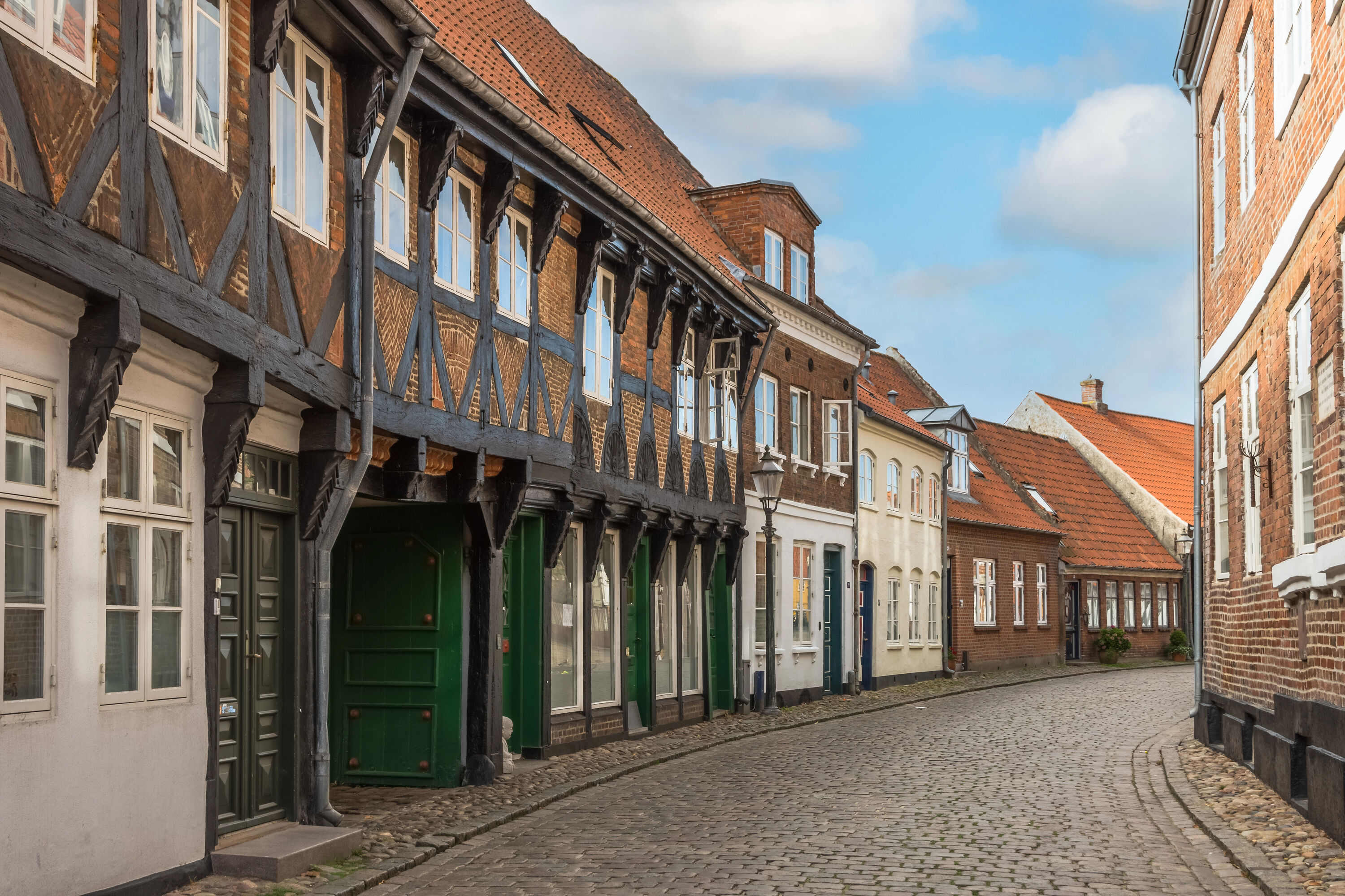 Ribe centrum