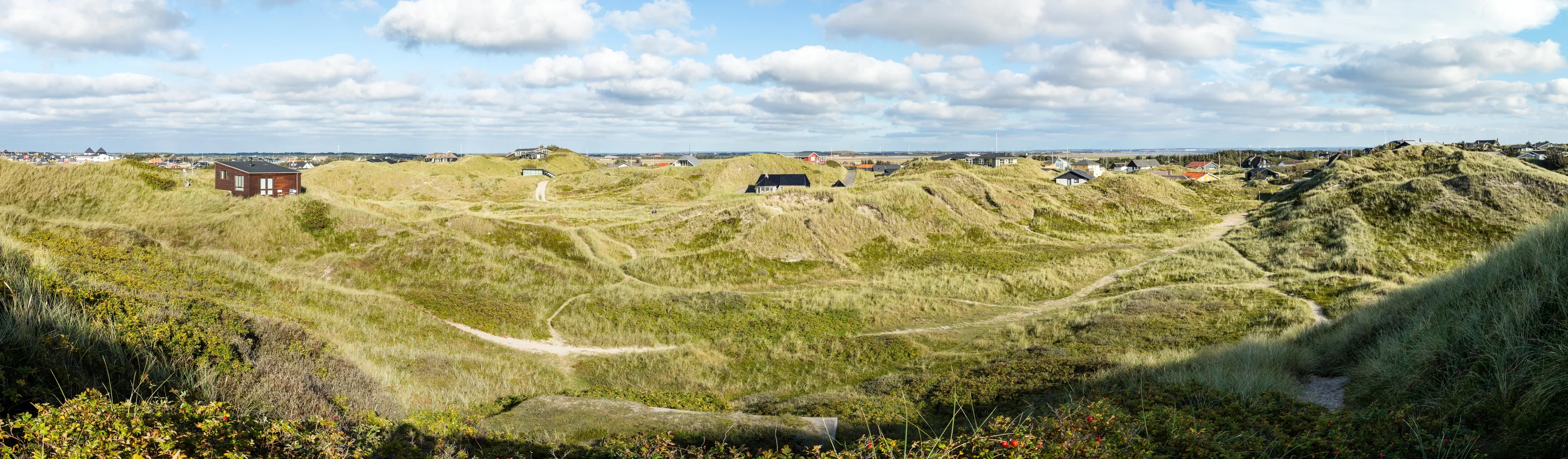 De duinen bij Søndervig