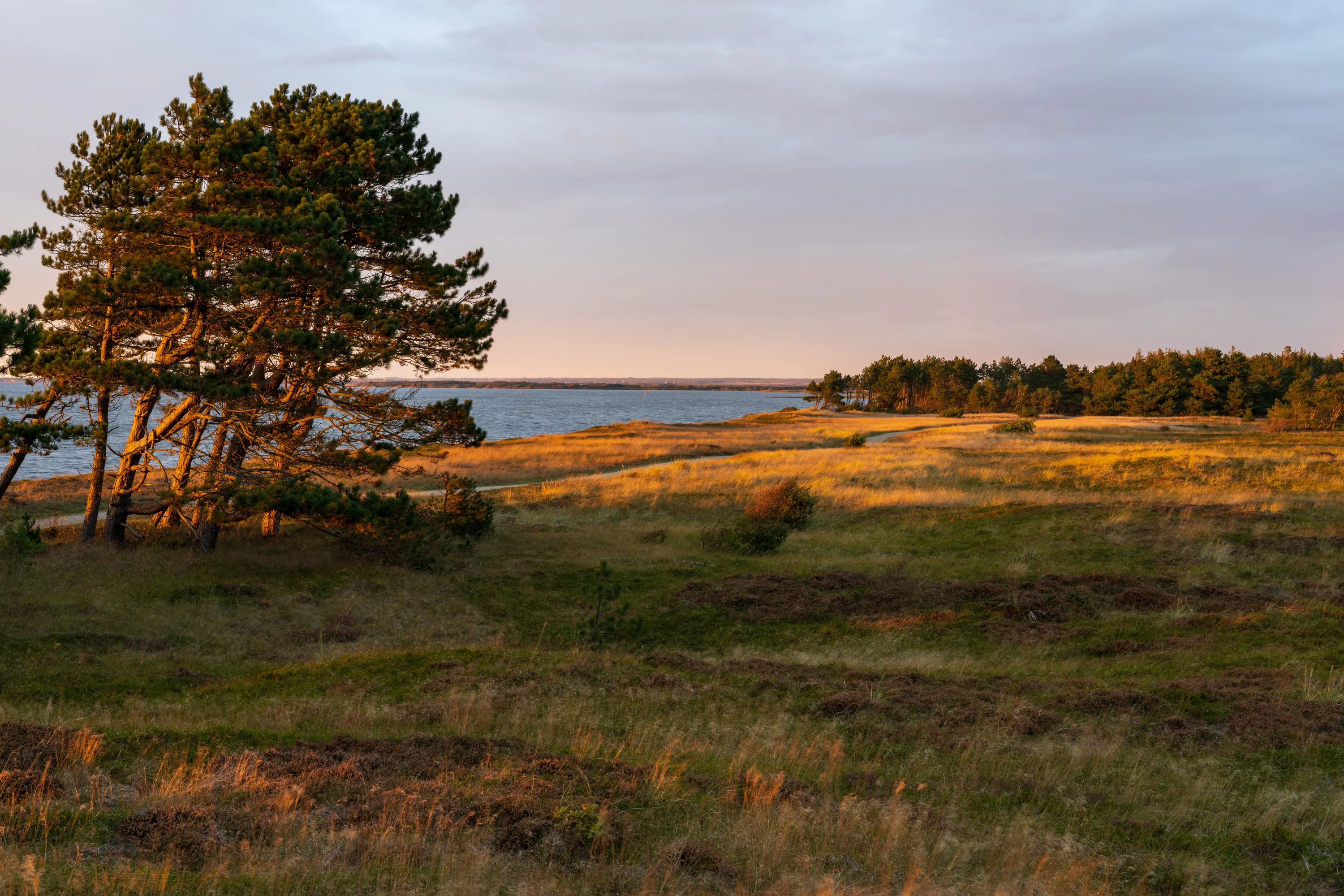 Skaven Strand speeltuin en familieactiviteiten aan Ringkøbing Fjord