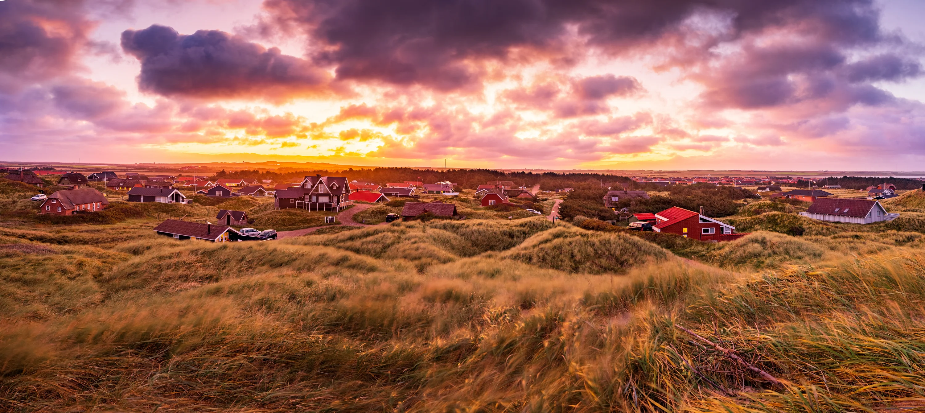 Vejlby Klit
