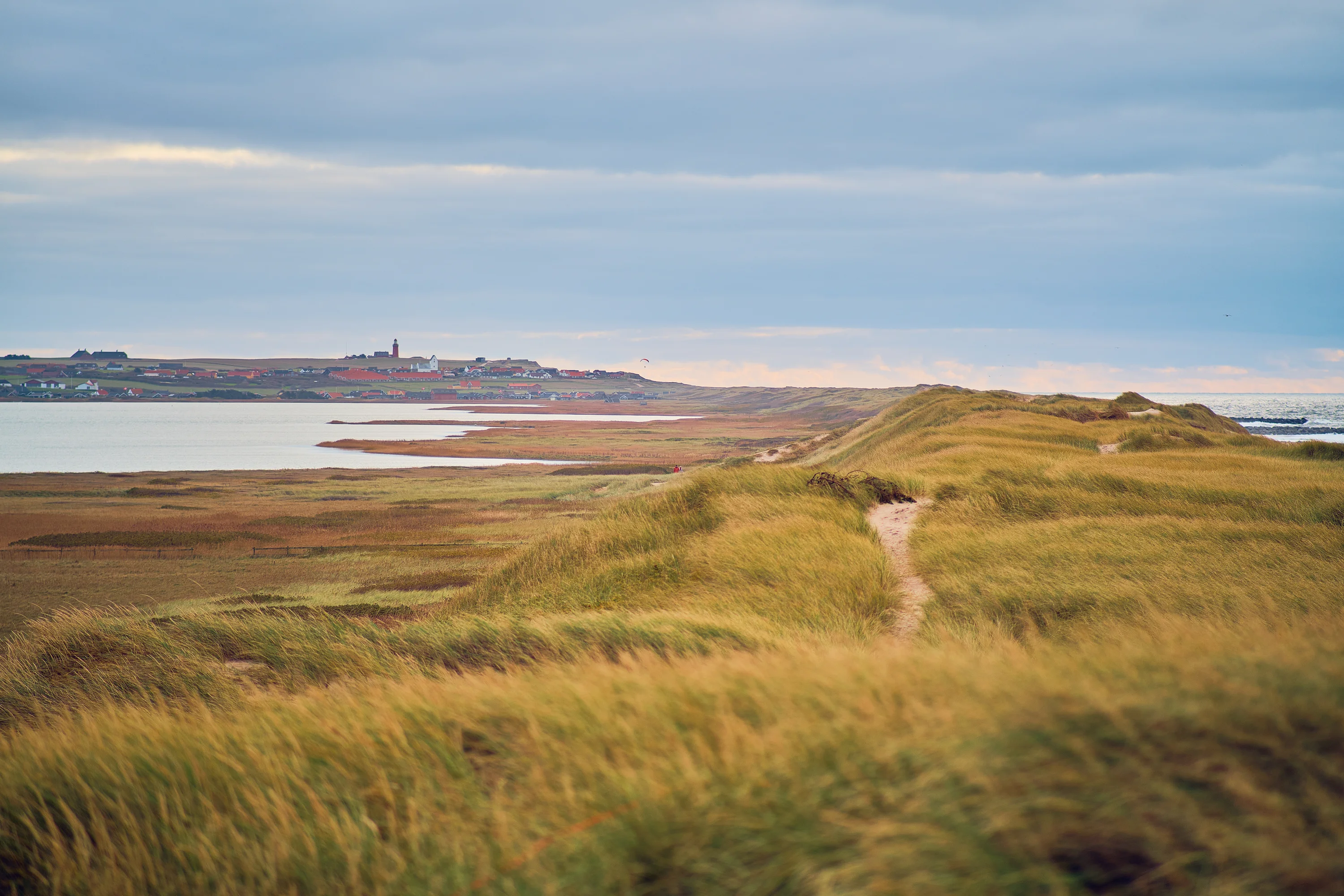Het landschap bij Vejlby Klit
