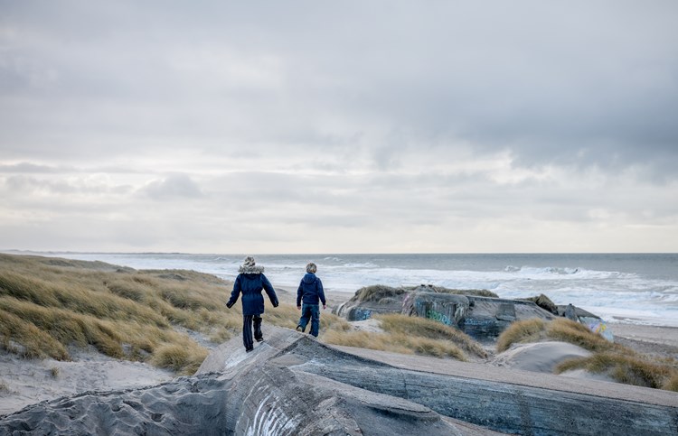 Winter aan de Noordzee in Denemarken