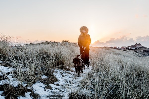 Winterse wandeling met de hond 
