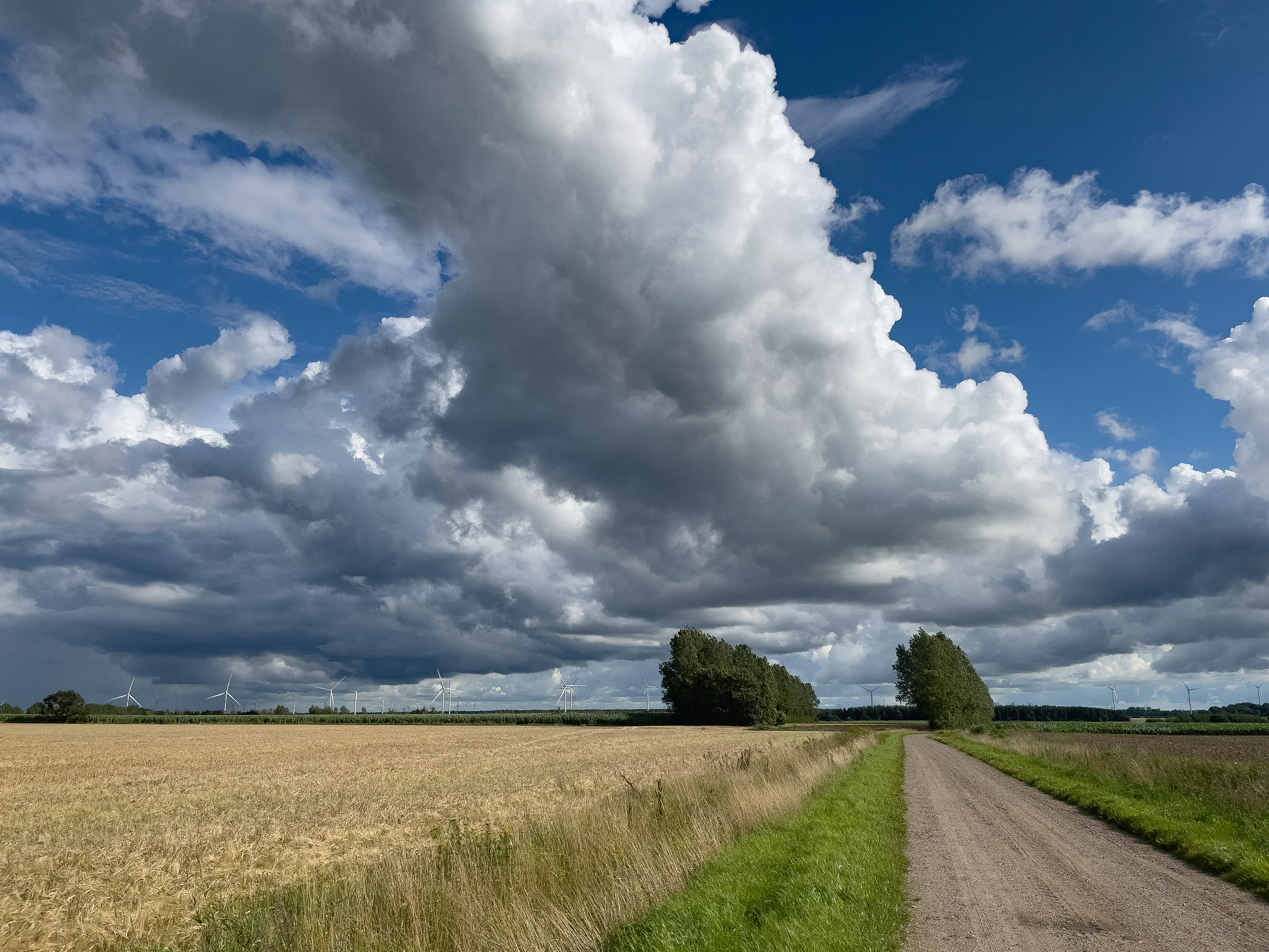 Het landschap bij Arrild
