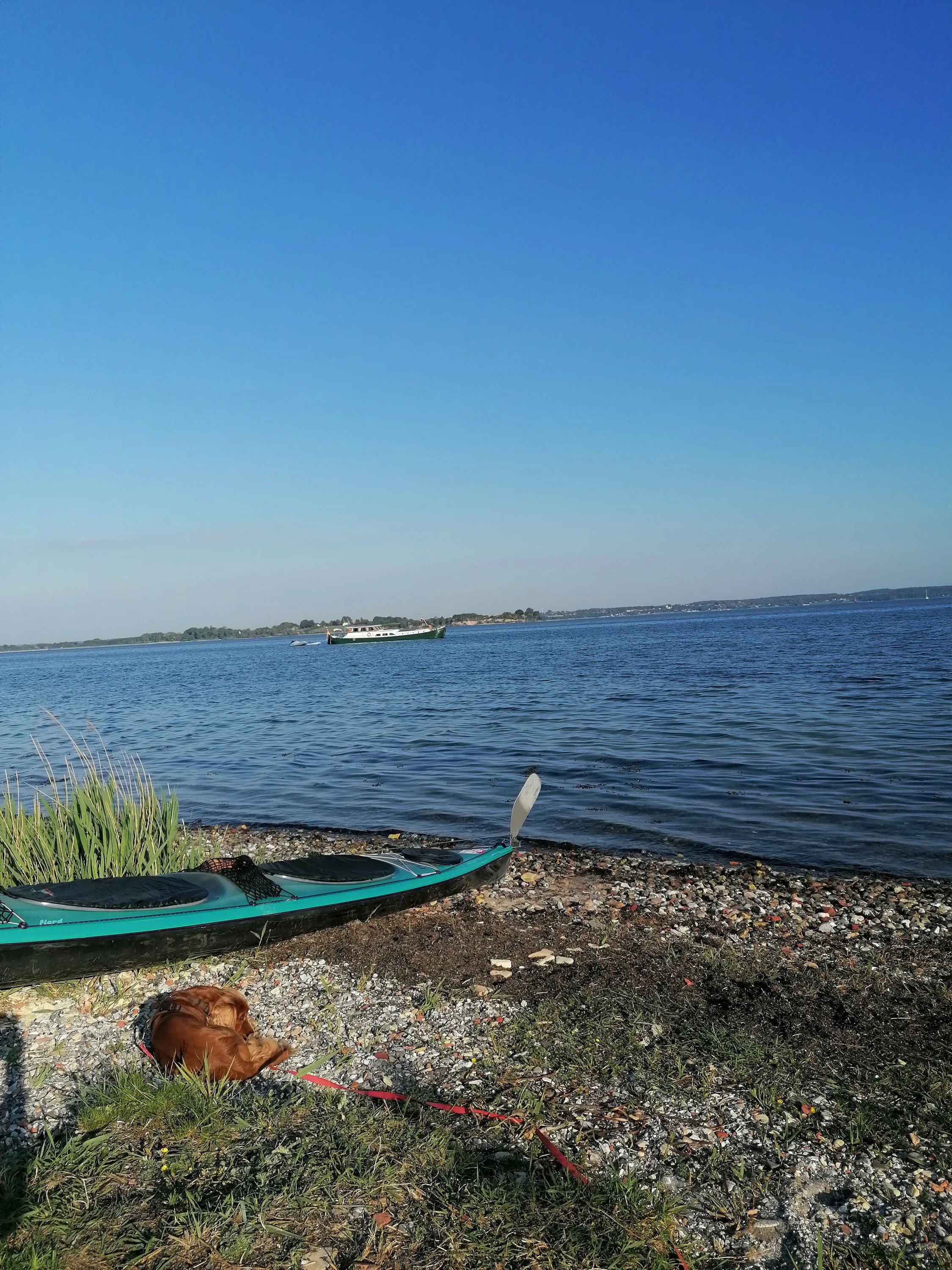 Een kayak aan de oostkust van Zuid-Jutland