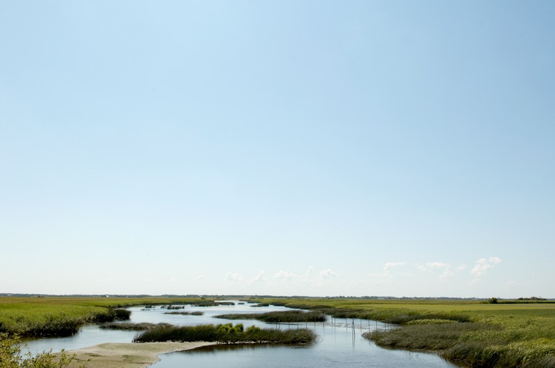 Waddengebied, Zuid-Denemarken. Foto: VisitDenmark