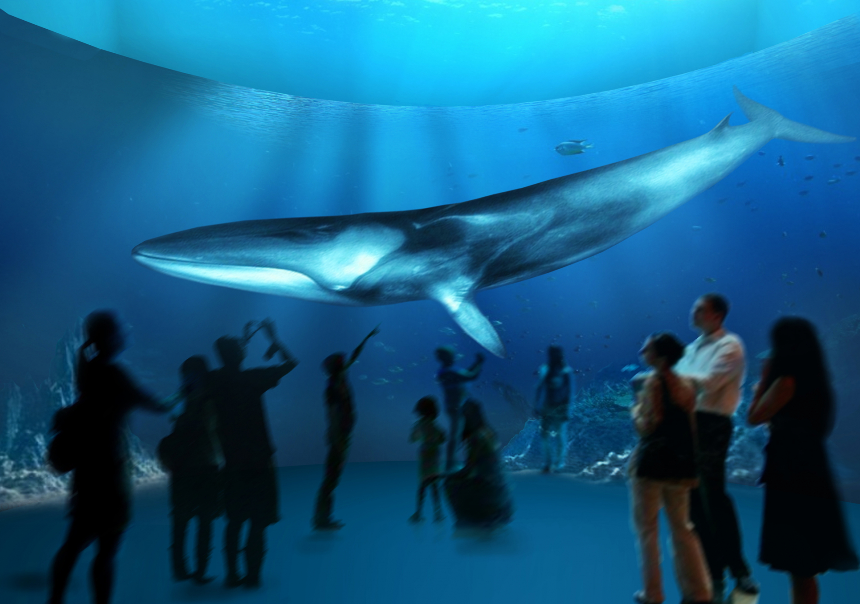 Nordsøen Oceanarium in Noord-Jutland, Denemarken. Foto: Nordsøen Oceanarium