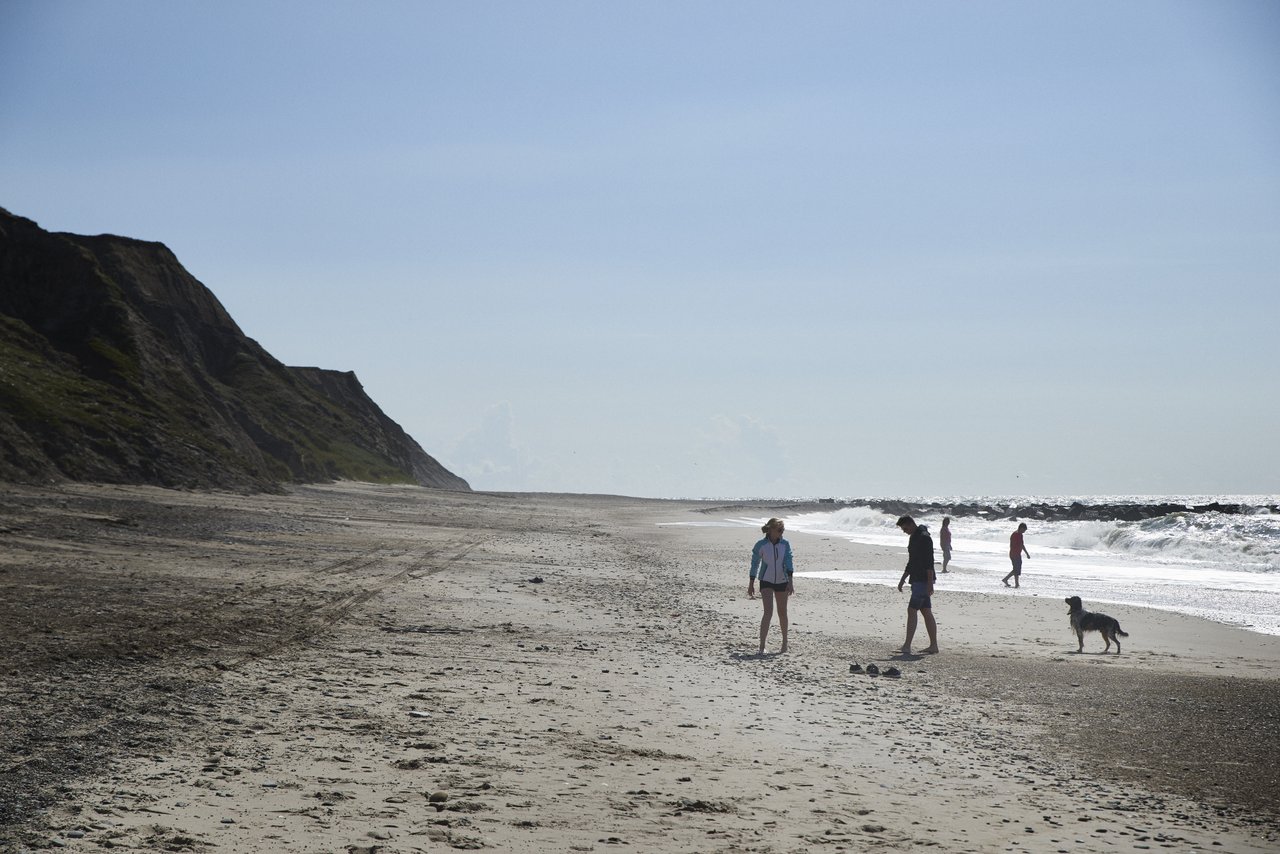 Hond in Noord-Jutland, Denemarken. Foto: VisitDenmark