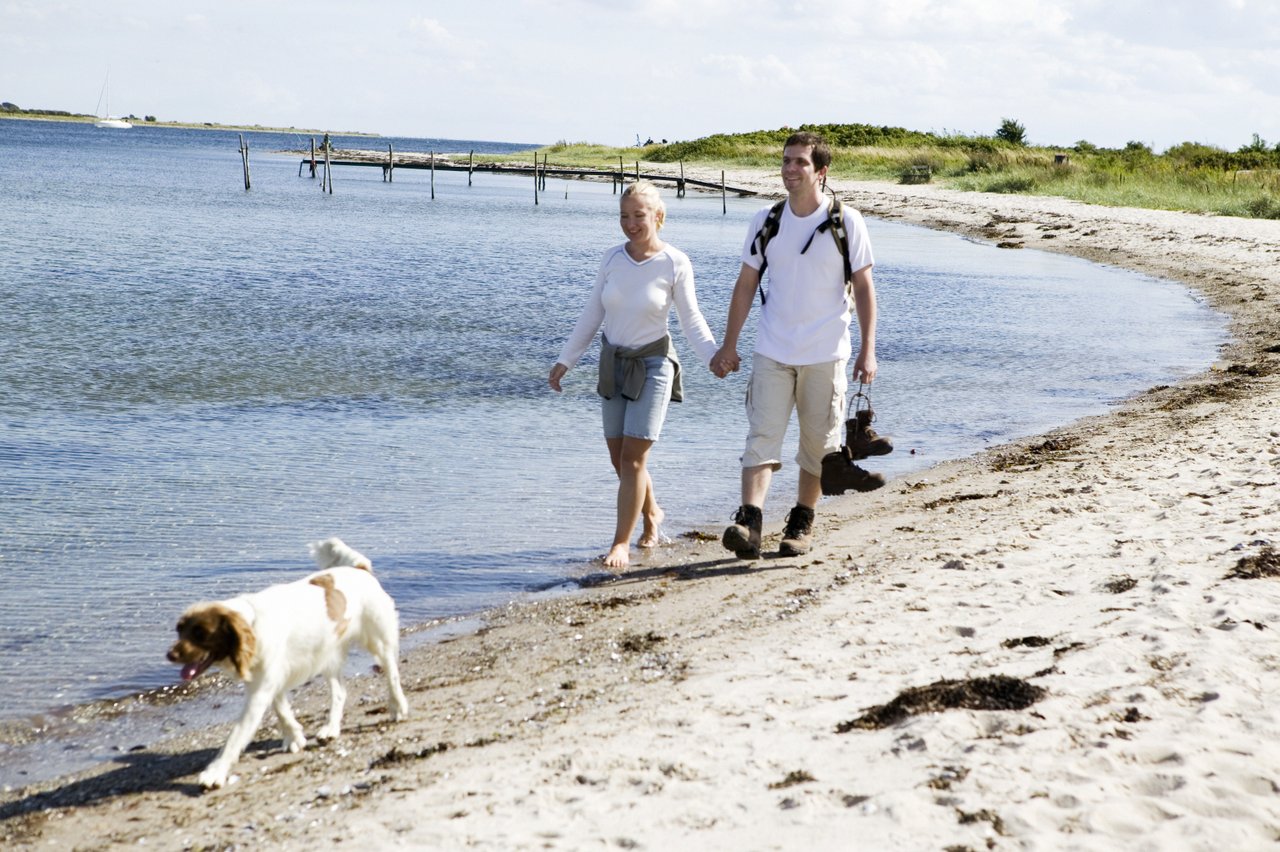 Met de hond naar Denemarken. Foto: Niclas Jessen/VisitDenmark