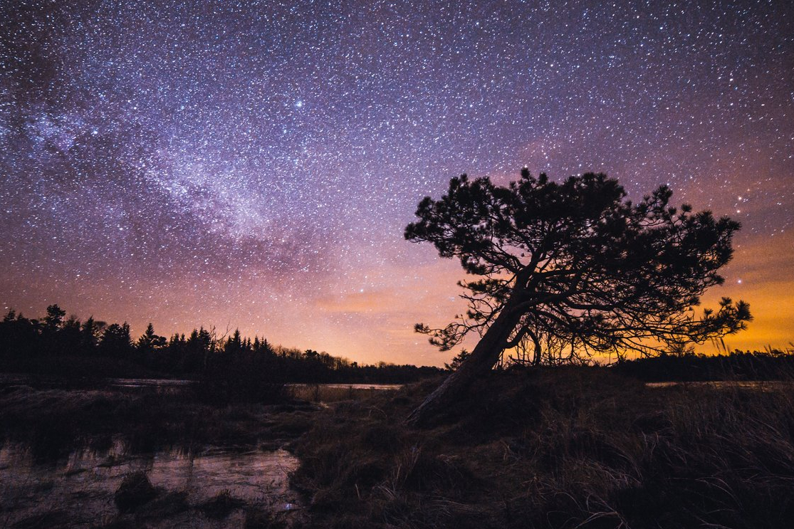 National Park Thy. Foto: VisitDenmark - Rusian Merzlyakov